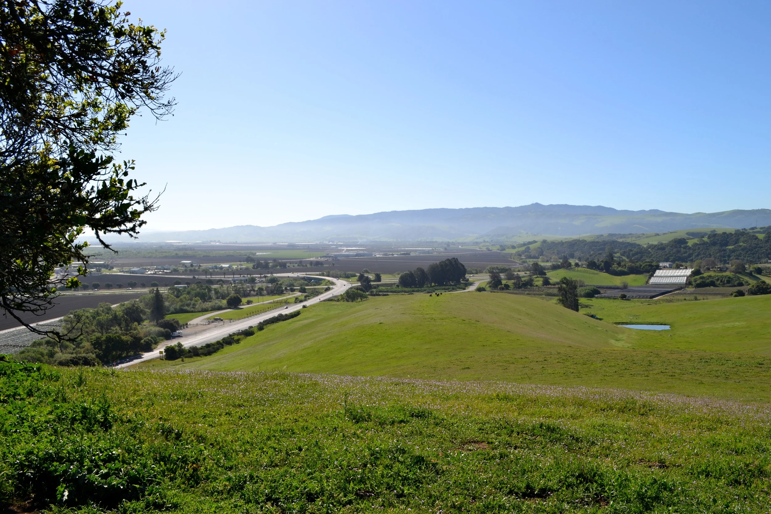 San Juan Vista photos by Mark13.jpg