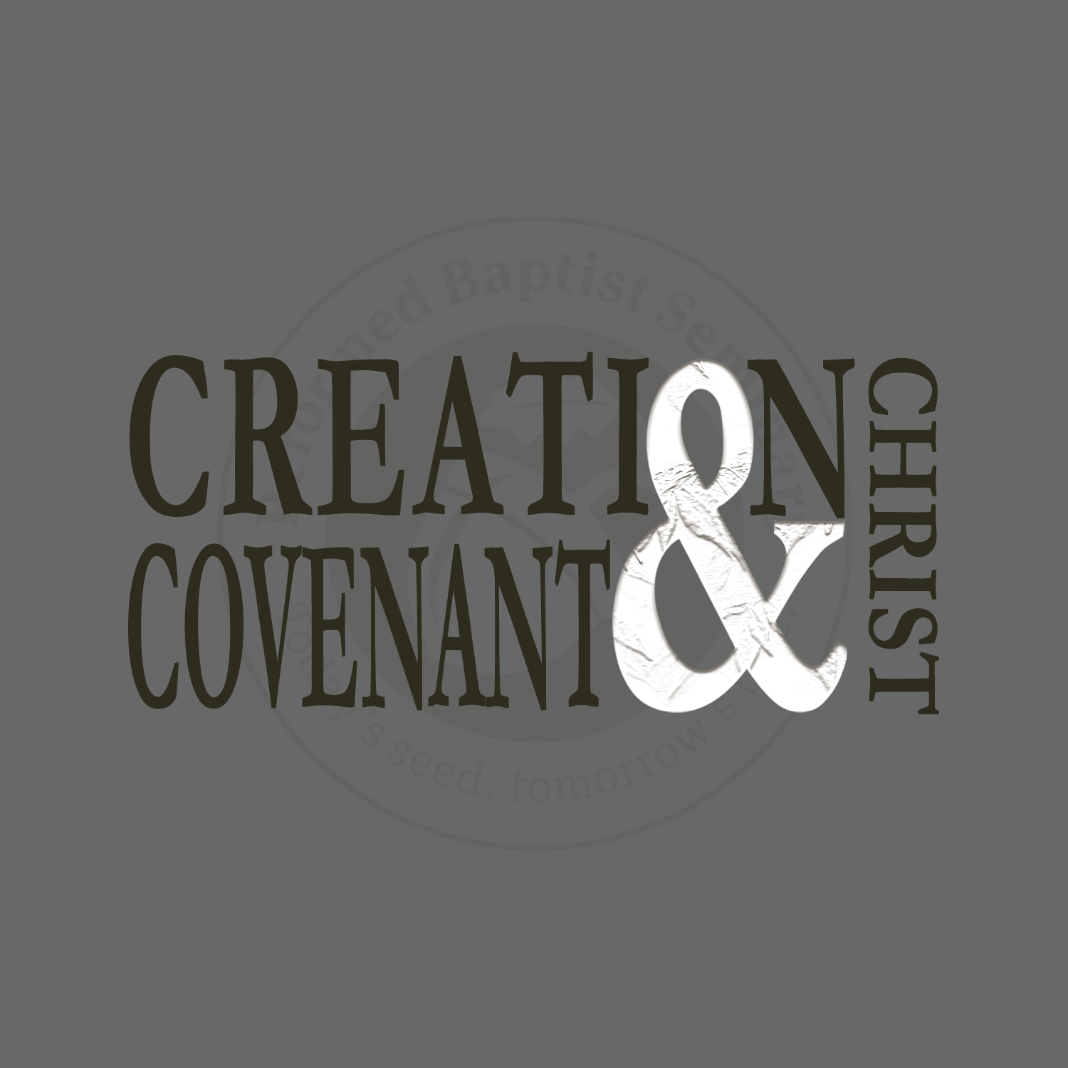 Creation, Covenant &amp; Christ (Module)
