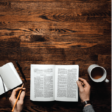 Introduction to Biblical Counseling (Module)
