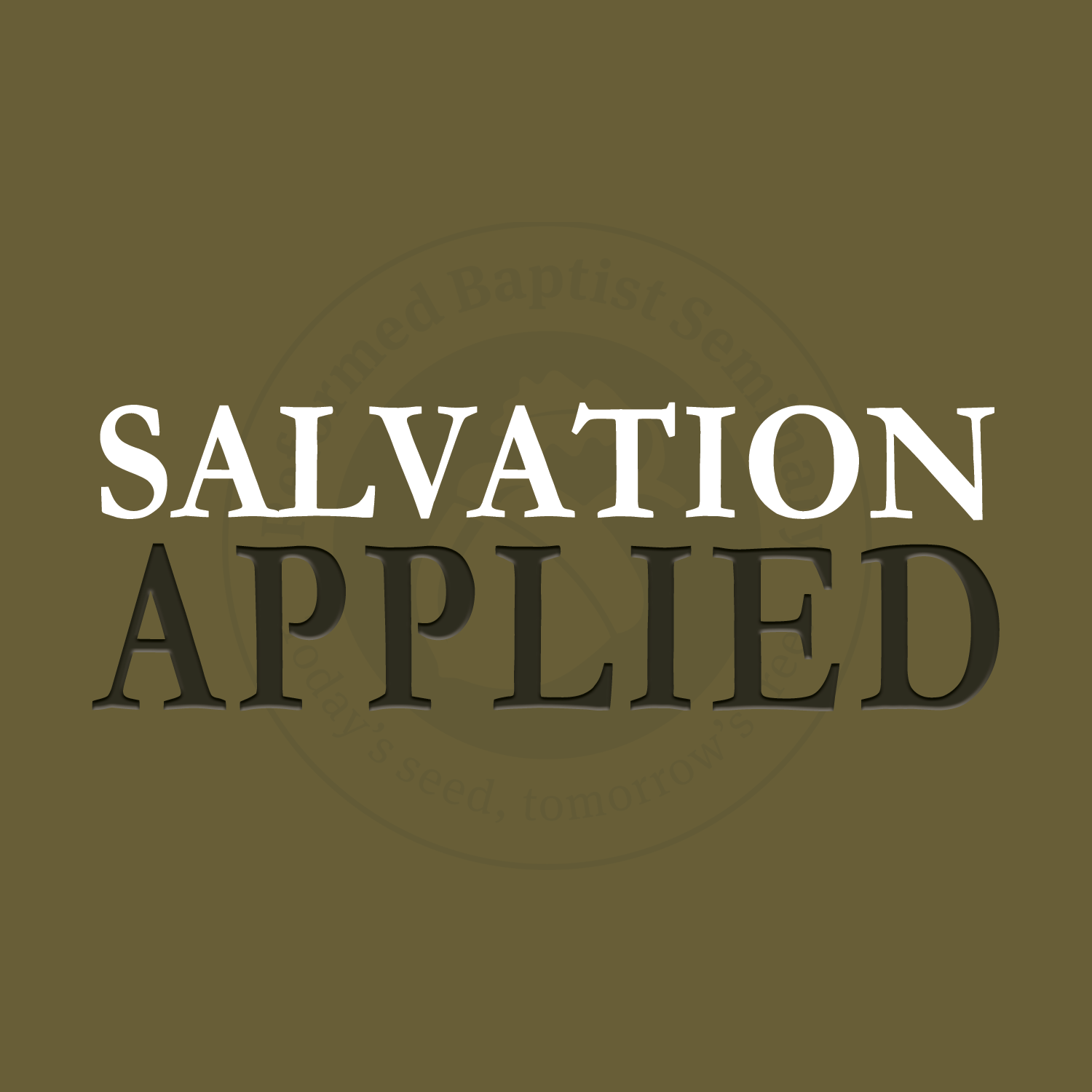 Salvation Applied (Module)