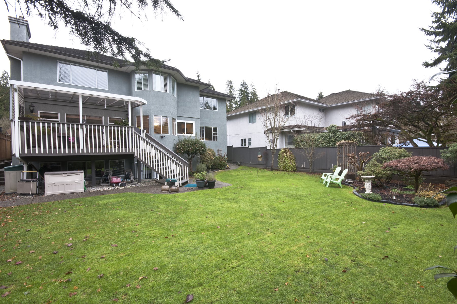 _DSC0098 backyard.jpg