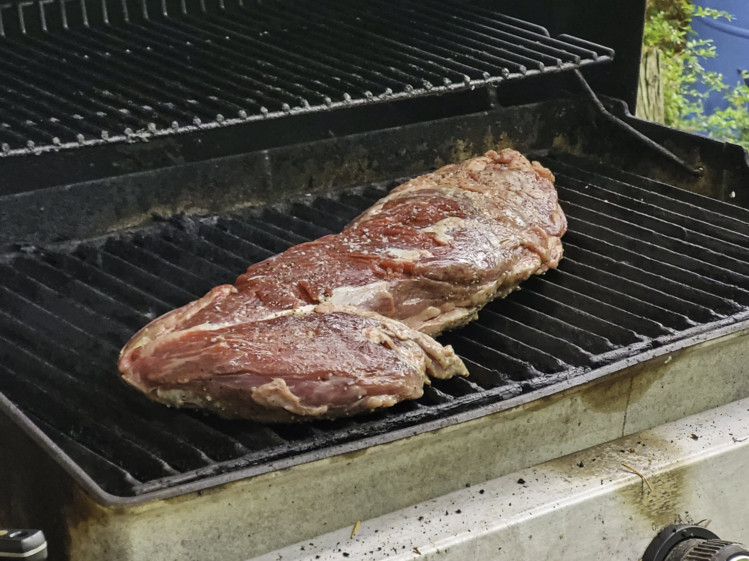 20230831_174952 Raw Tenderloin on BBQ.jpeg