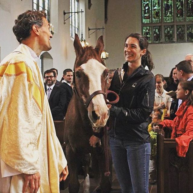 Toby the ecumenical pony. #pony #horse #blessingoftheanimals