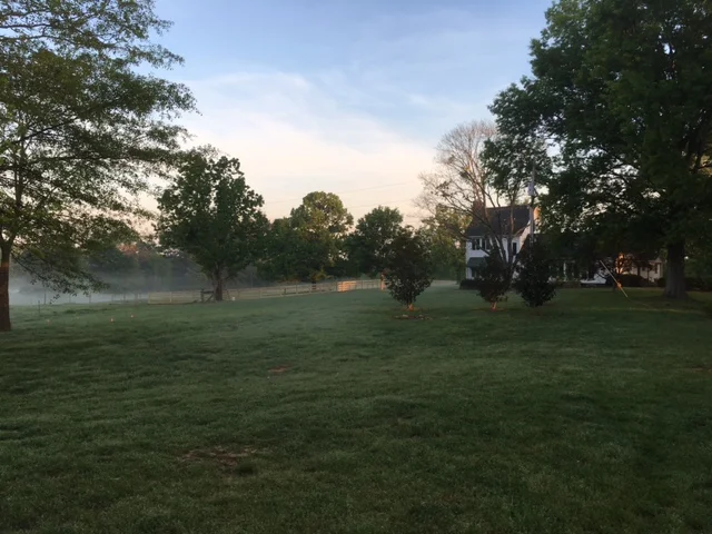    the farmhouse through the trees   