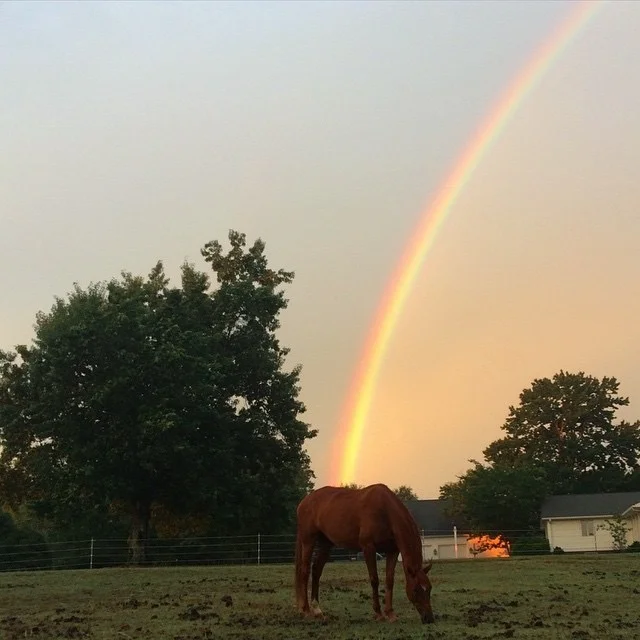 Covenant Grove - the end of the rainbow...;-)