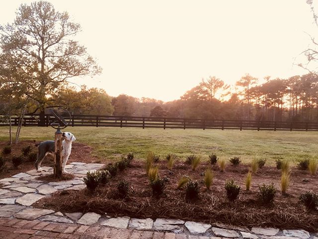 Sundial at sunset. What time is it Bonny?
#sheepdog