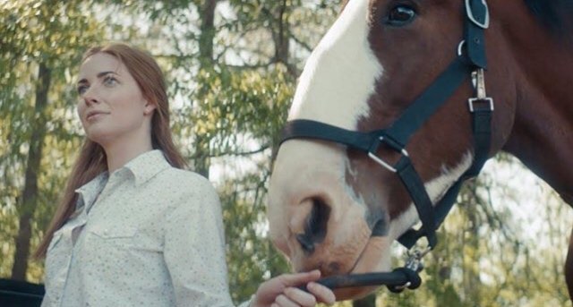 Check out #AprilandDixie on YouTube. A story produced by #Purina filmed at Covenant Grove about our life-long bonds with our friends. Enjoy! https://www.youtube.com/watch?v=sjAalUQkIM0#horse #clydesdale #equestrian #visitoconee