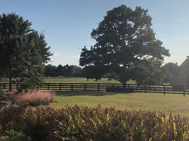 Fall colors are beginning. This is my favorite time of year. This view to the grass jump arena is stunning.