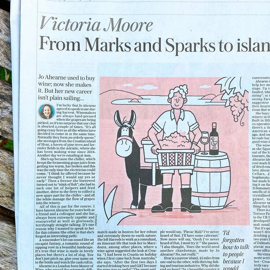 PAPERFACE_Telegraph_Wine_image5_Jo_Ahearne_MWi.jpg