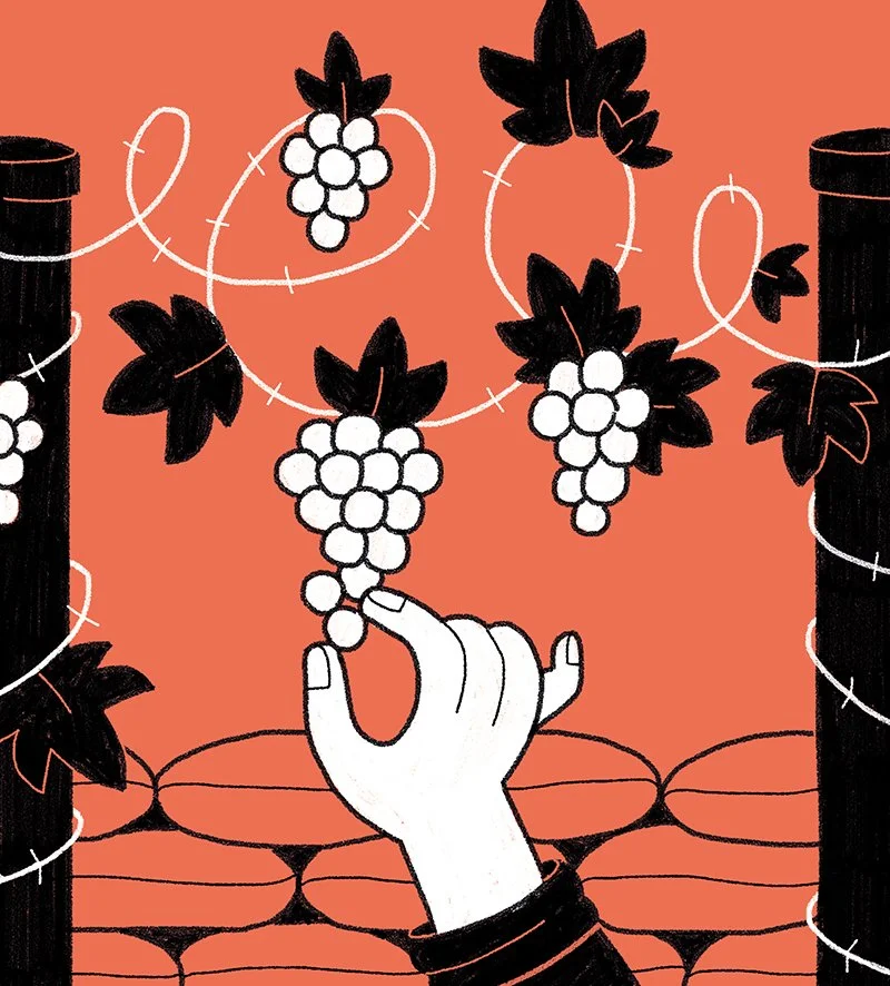 PAPERFACE_Telegraph_Wine_image2_War_and_Wine.jpg
