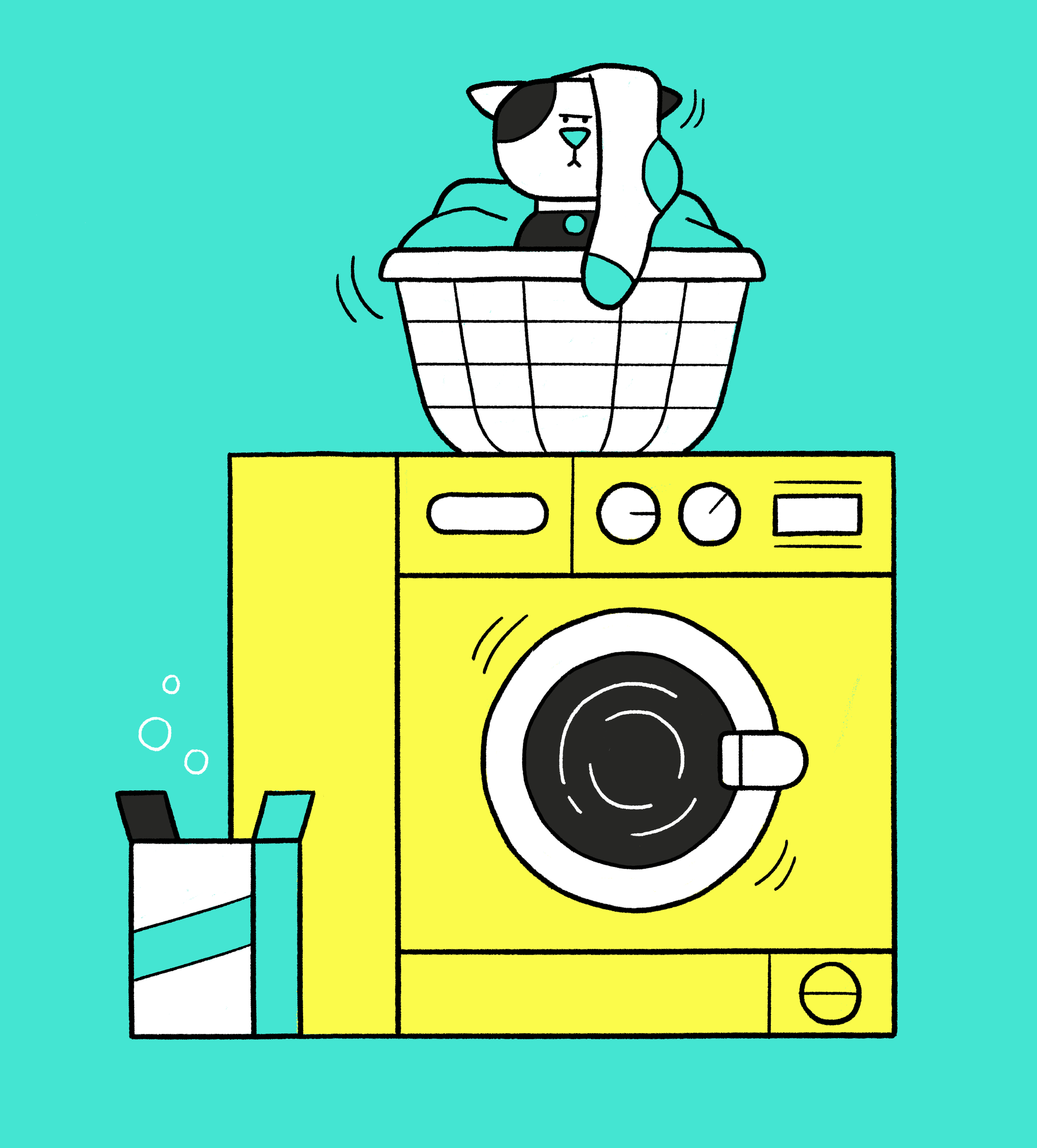 WASHING_MACHINE_CAT_V3.png