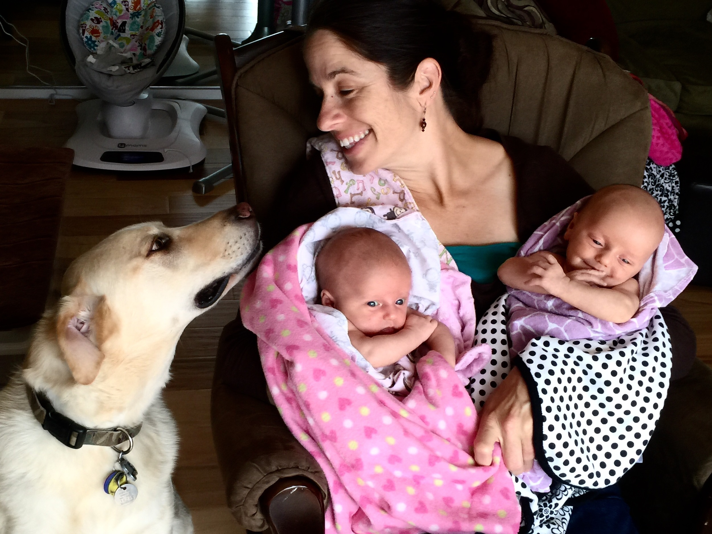 ALL members of the family must be taken into consideration with the new arrivals!