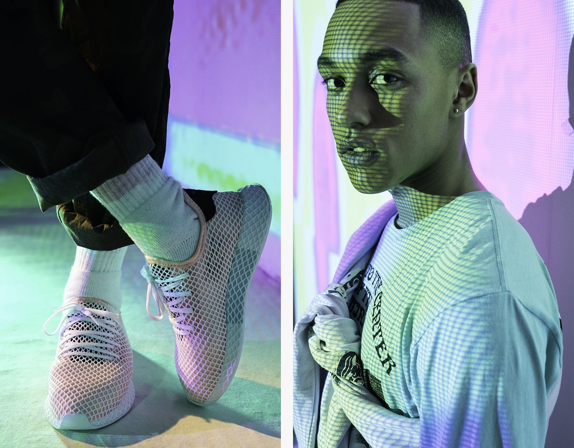 deerupt1-1.jpg