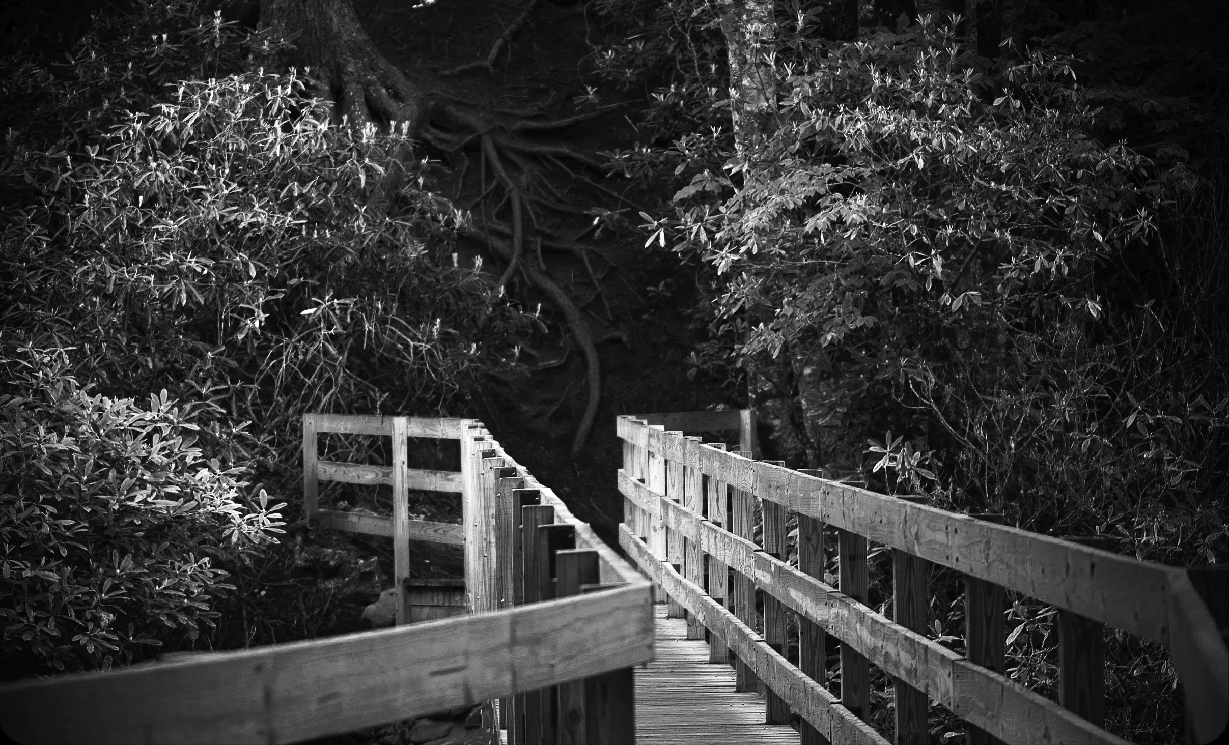 CreepyBridge.jpg