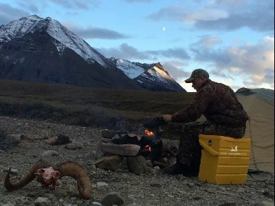 Over a half a dozen sheep hunters emailed us their success stories from 2016 and many others emailed to say they were "ahead by years" after subscribing to our app.