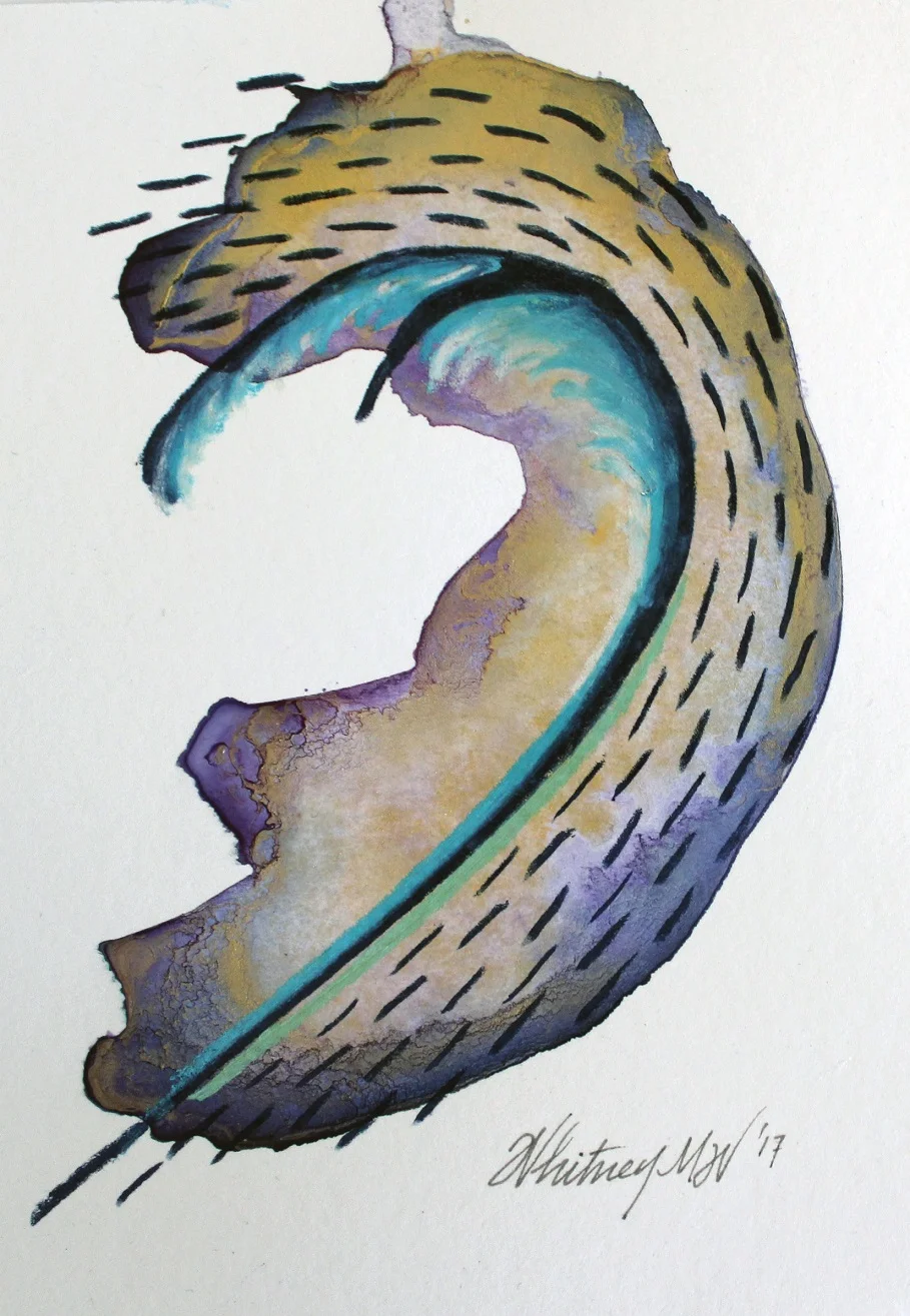 Sea Feather 2.jpg