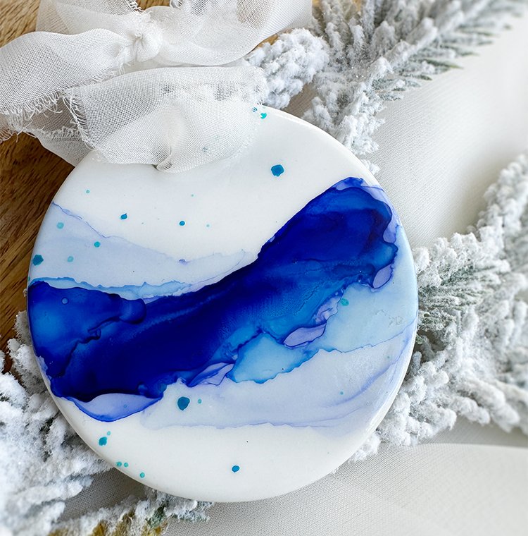 Blue on snowy branch sm.jpg