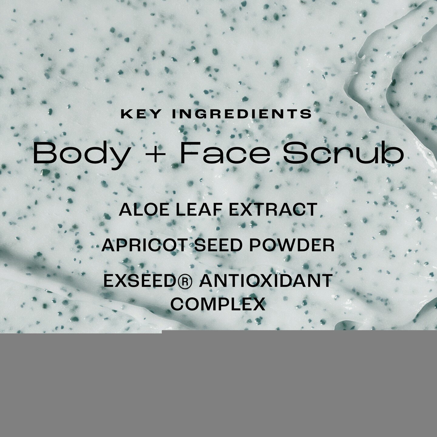 Some of the beneficial, KEY ingredients in our Body + Face Scrub are Aloe Leaf Extract, Apricot Seed Powder and our ExSeed&reg; Antioxidant Complex. ⁠
⁠
Aloe Leaf Extract has antiseptic effects. It contains salicylic acid, which helps prevent + elimi