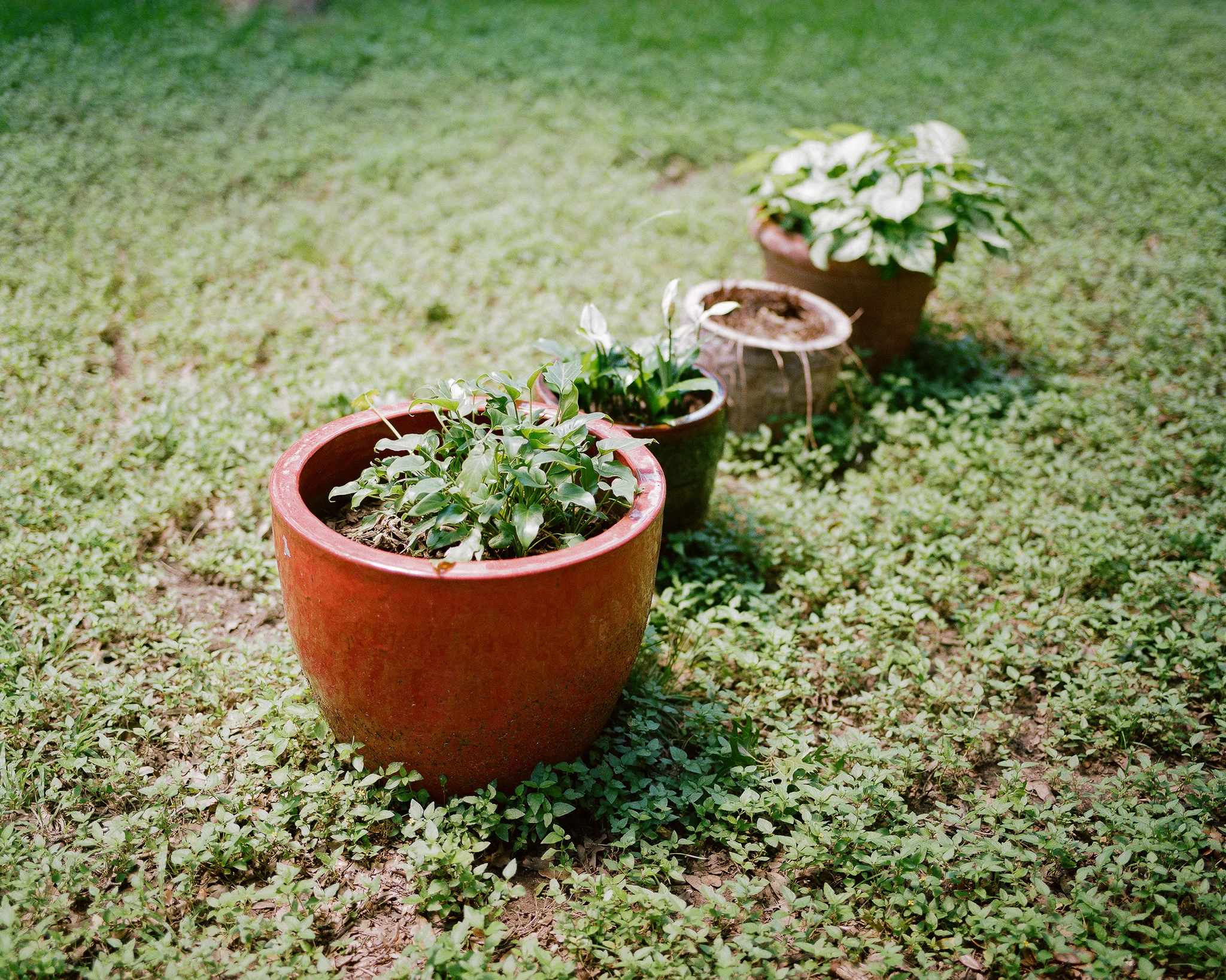 PENTAX_6X7_TEST-1.jpg
