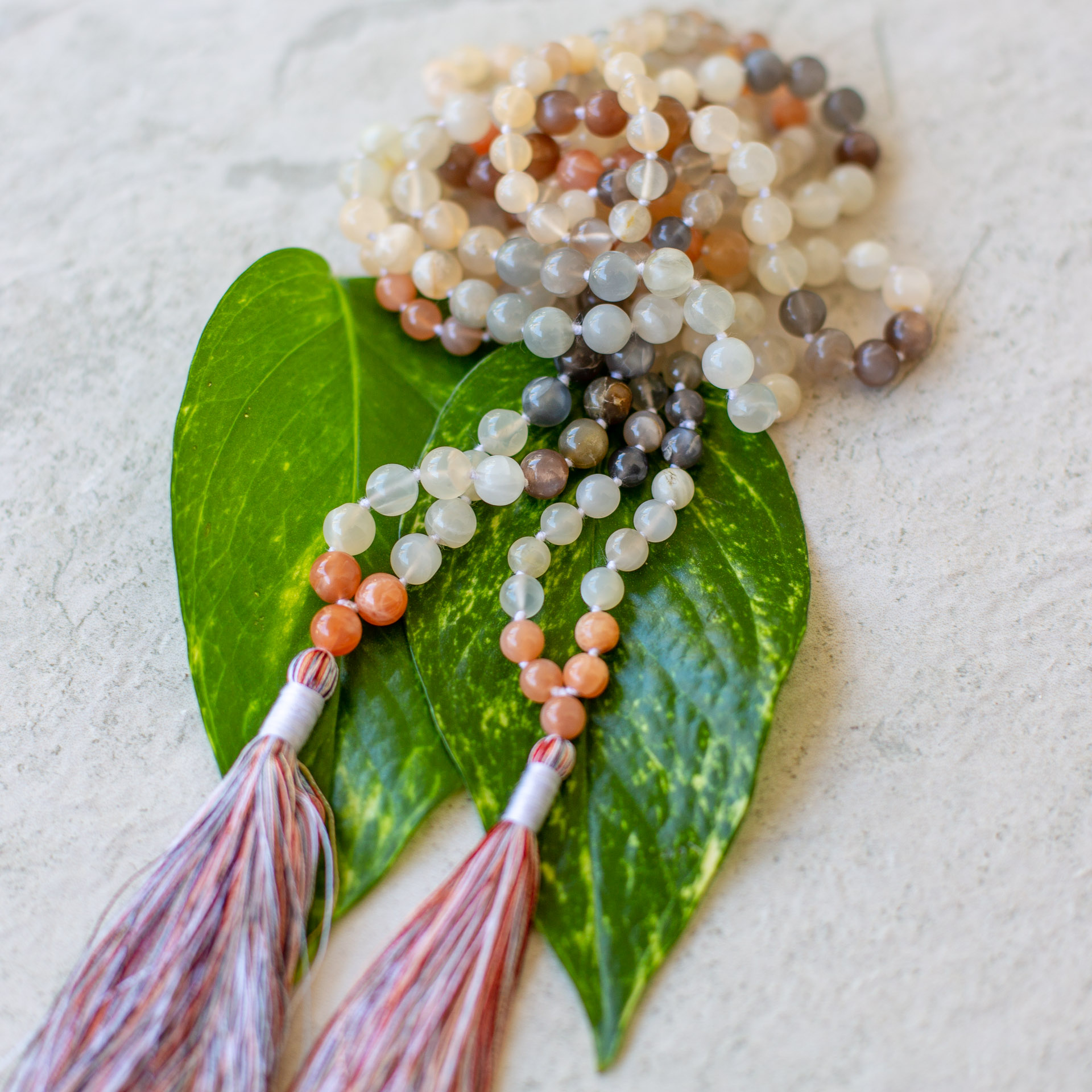 Malas_Aug18 (78 of 161).jpg