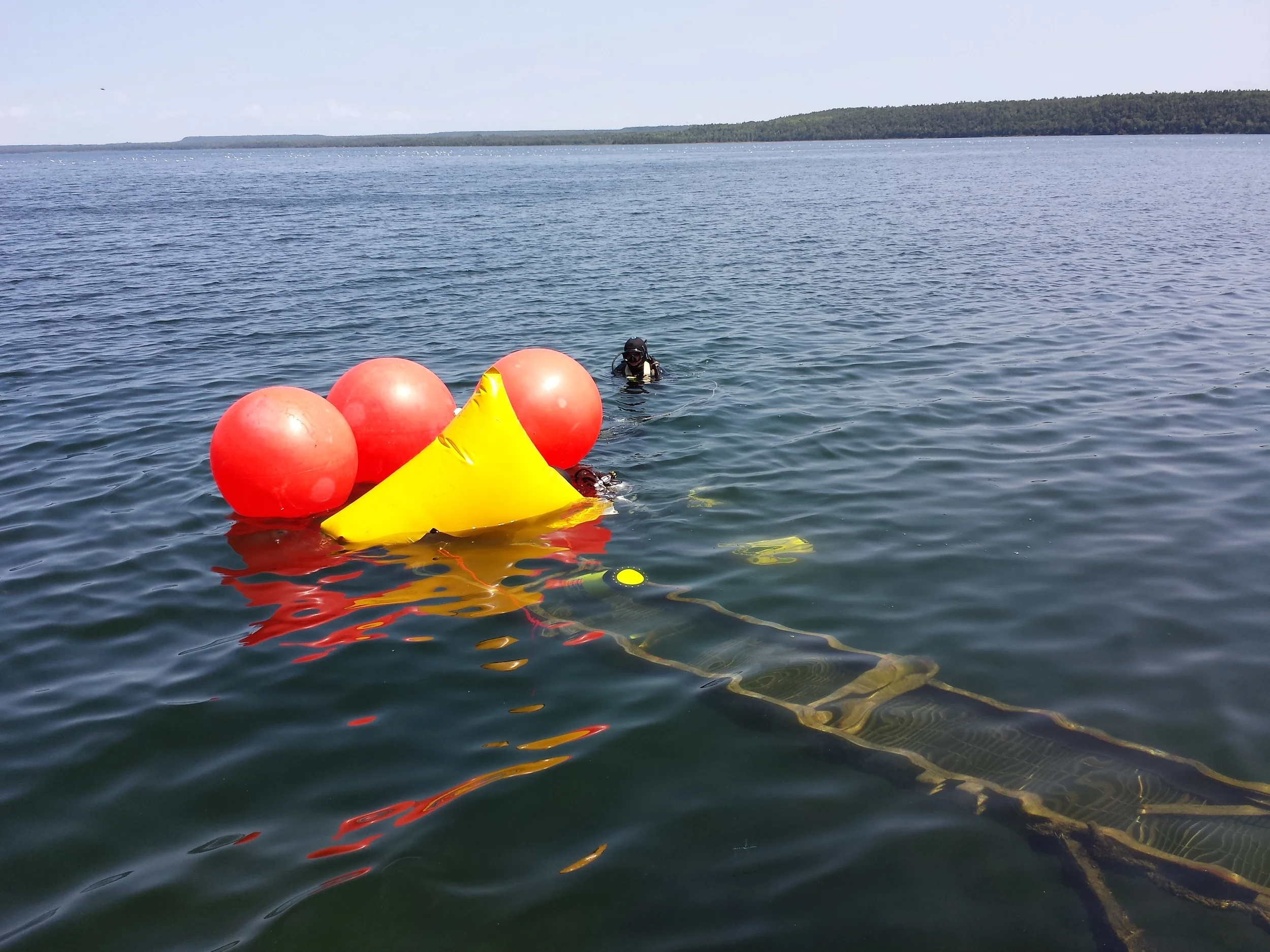 20140806_134137_1.jpg