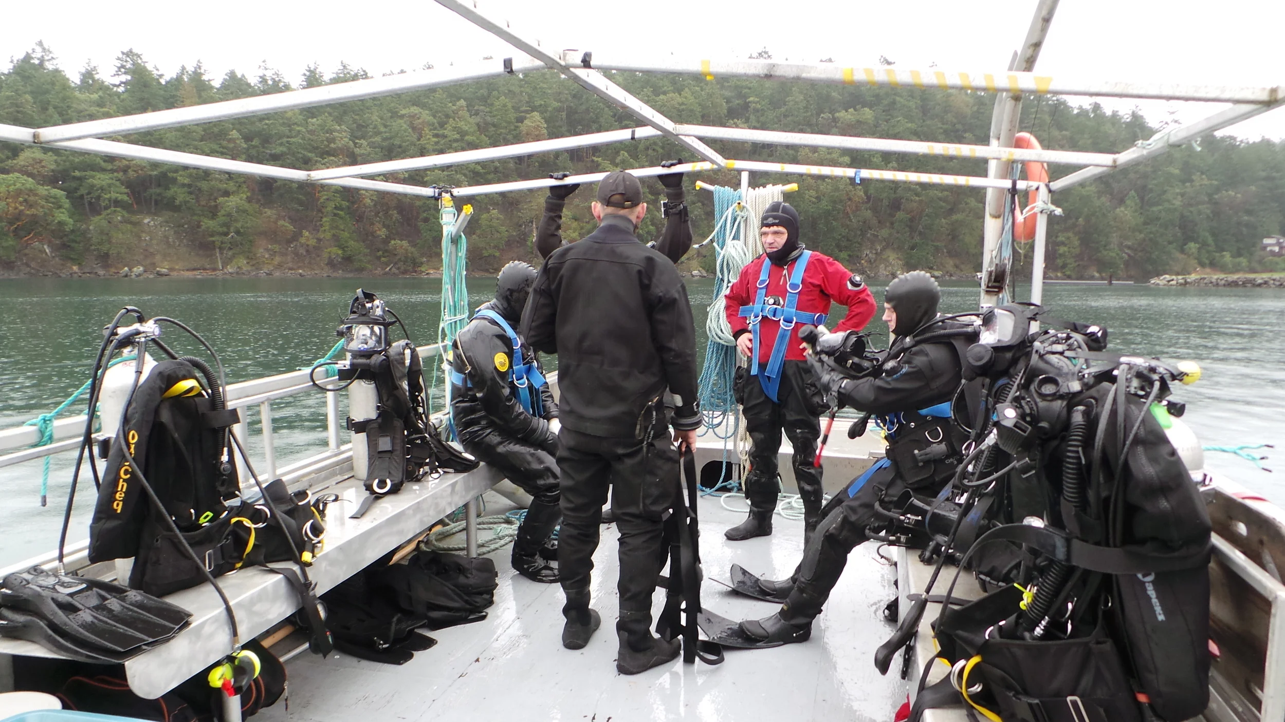 Imagens camera 26012015 1844.JPG