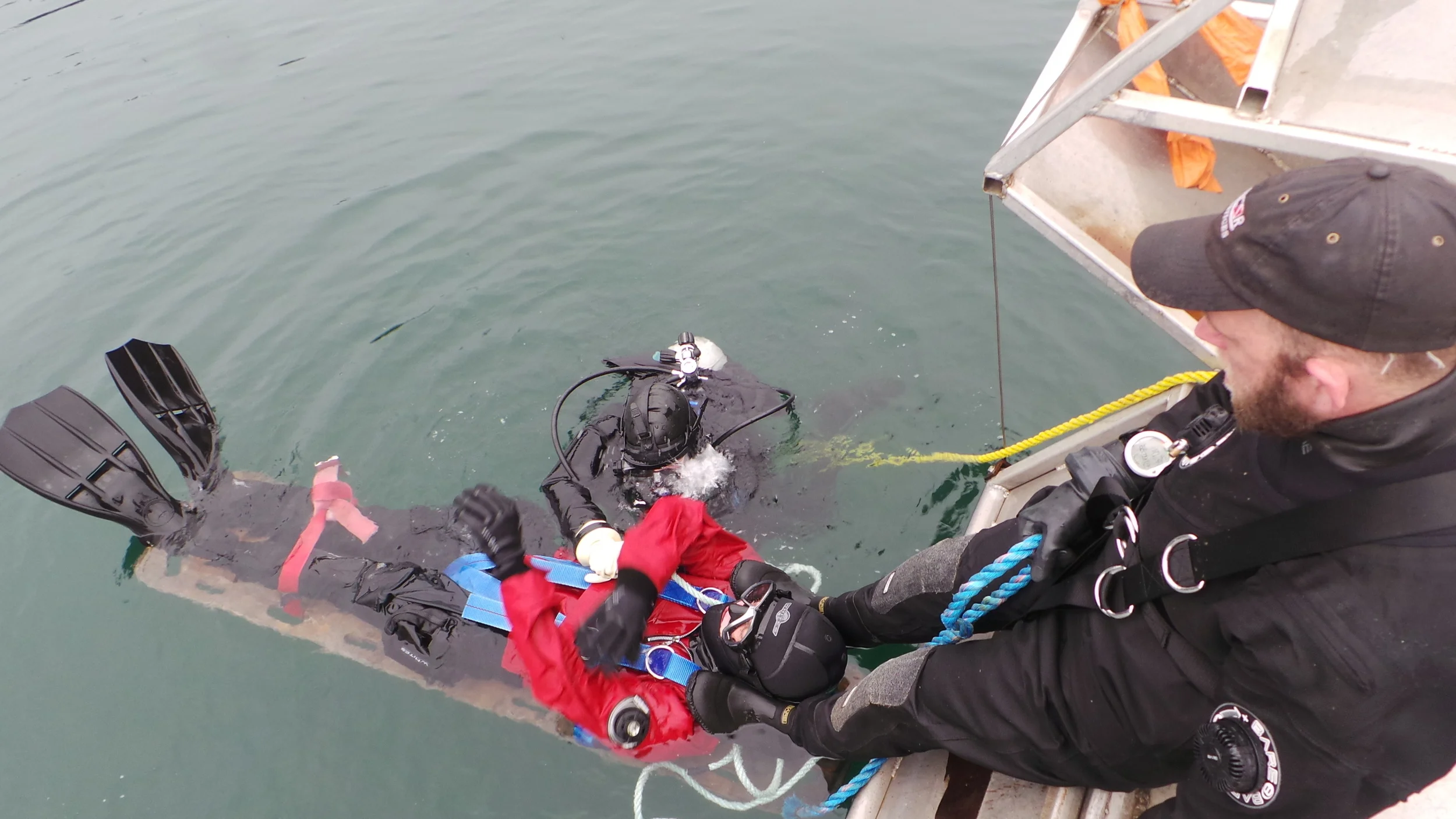 Imagens camera 26012015 1880.JPG