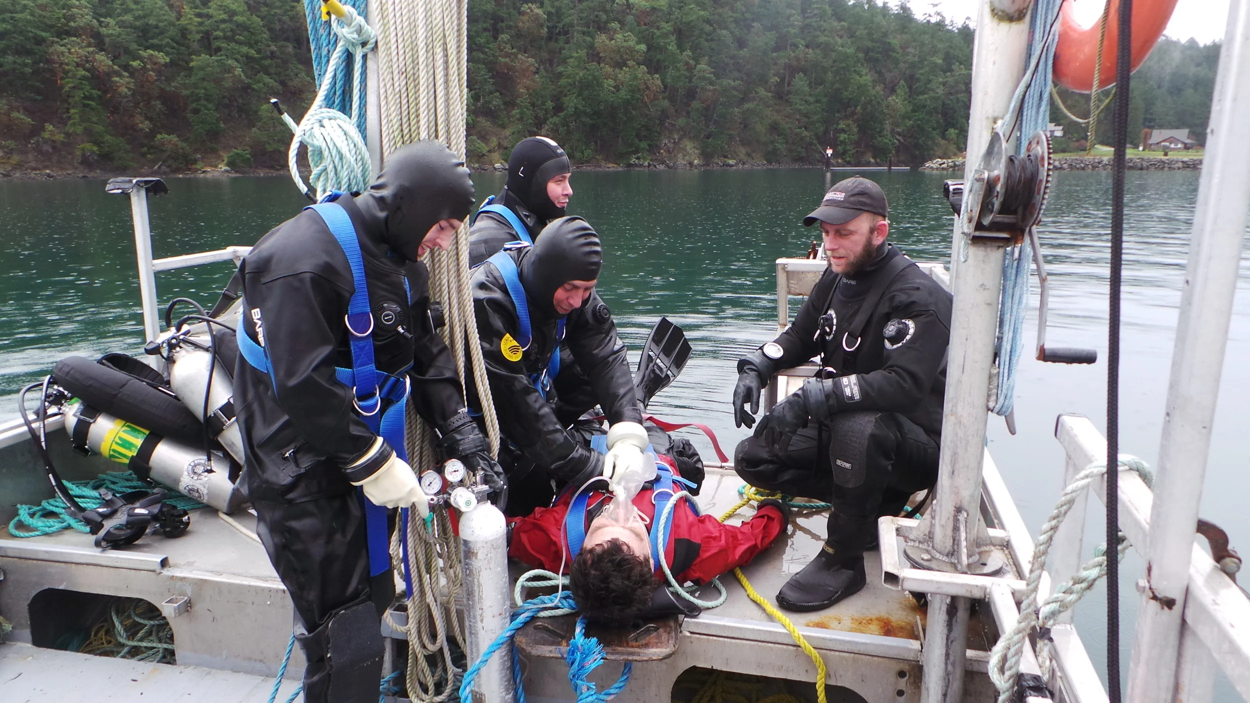 Imagens camera 26012015 1889.JPG