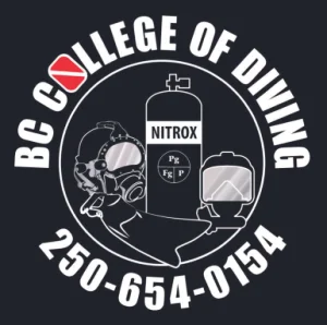 gold - college of diving.jpg