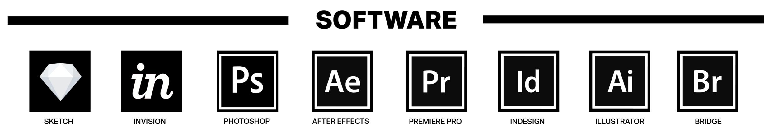 software1.png