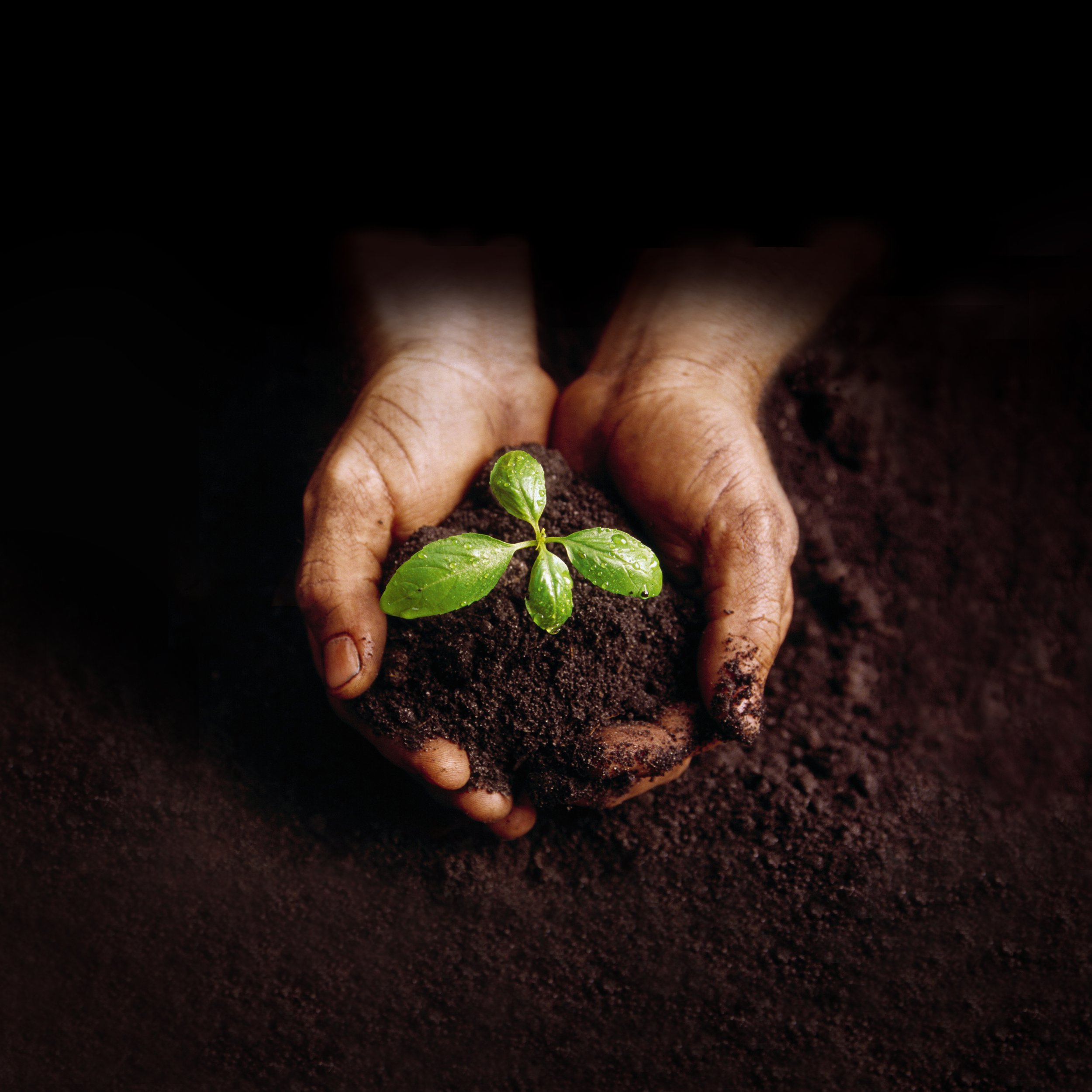   We excel in times of growth, change and challenge.  