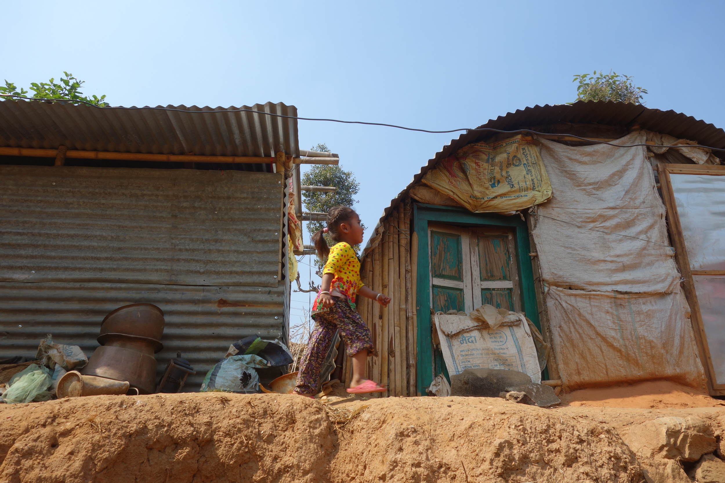  Photo: Matt Alesevich 