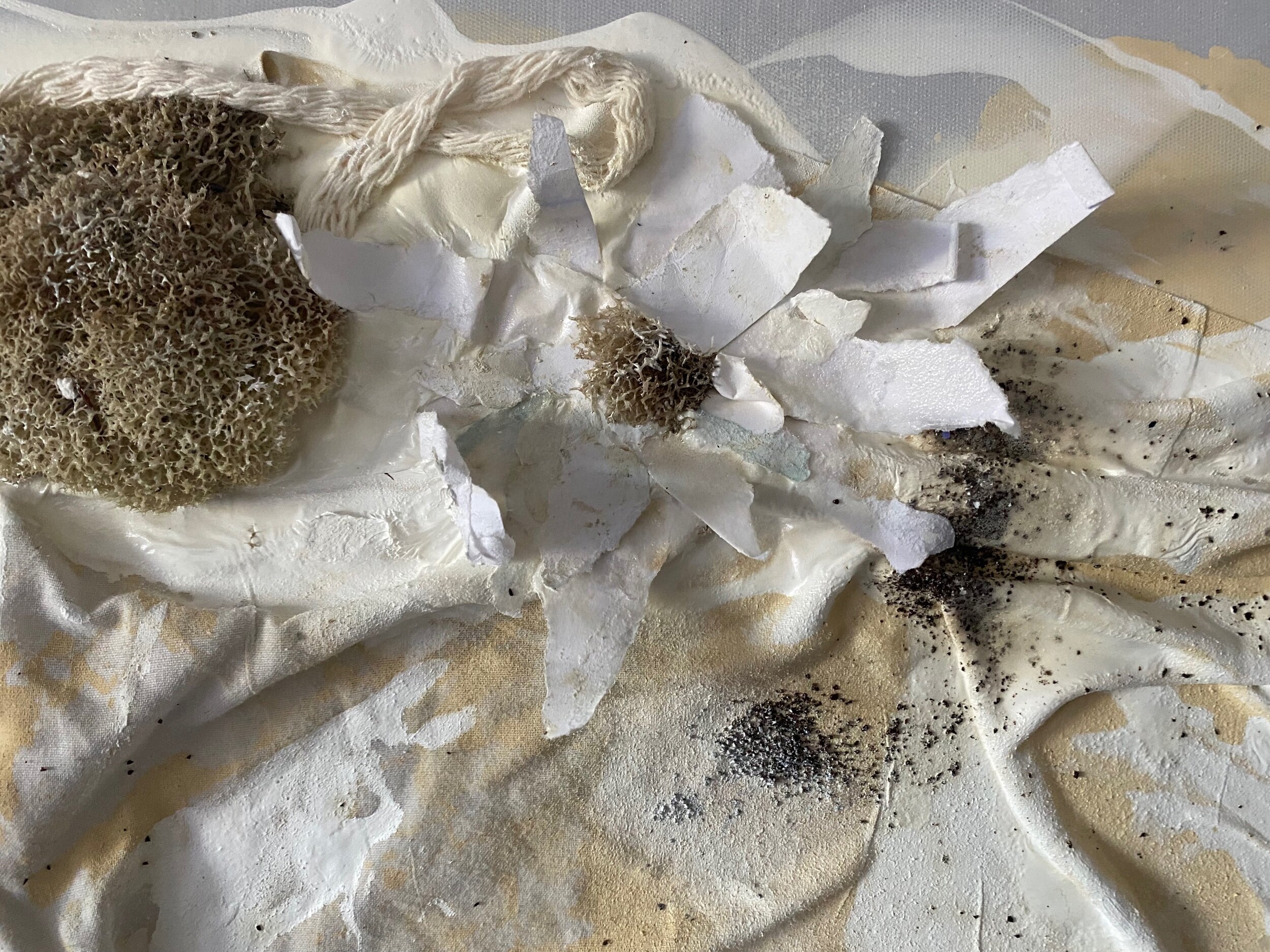 75405AD0-AA4E-4CA9-A2FC-0D755EE12E58