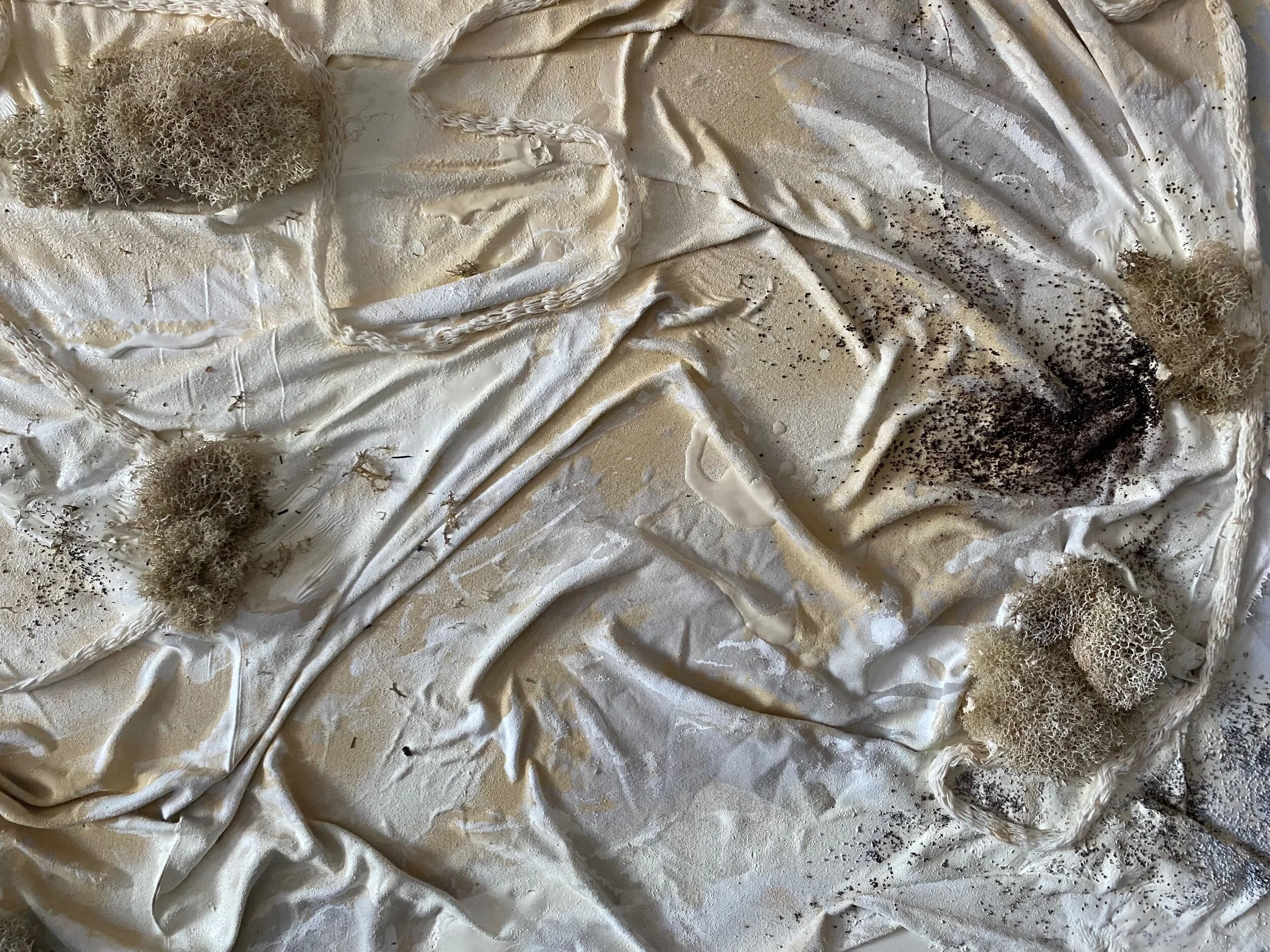 3A34D466-6230-4E37-A671-741DB70F1D6E