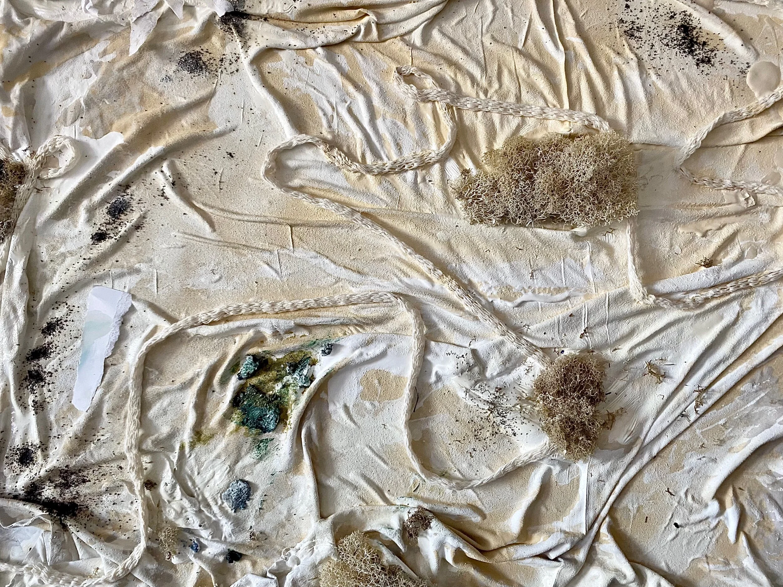 AA08B481-09EB-4B47-8E3D-BD216AAF8774