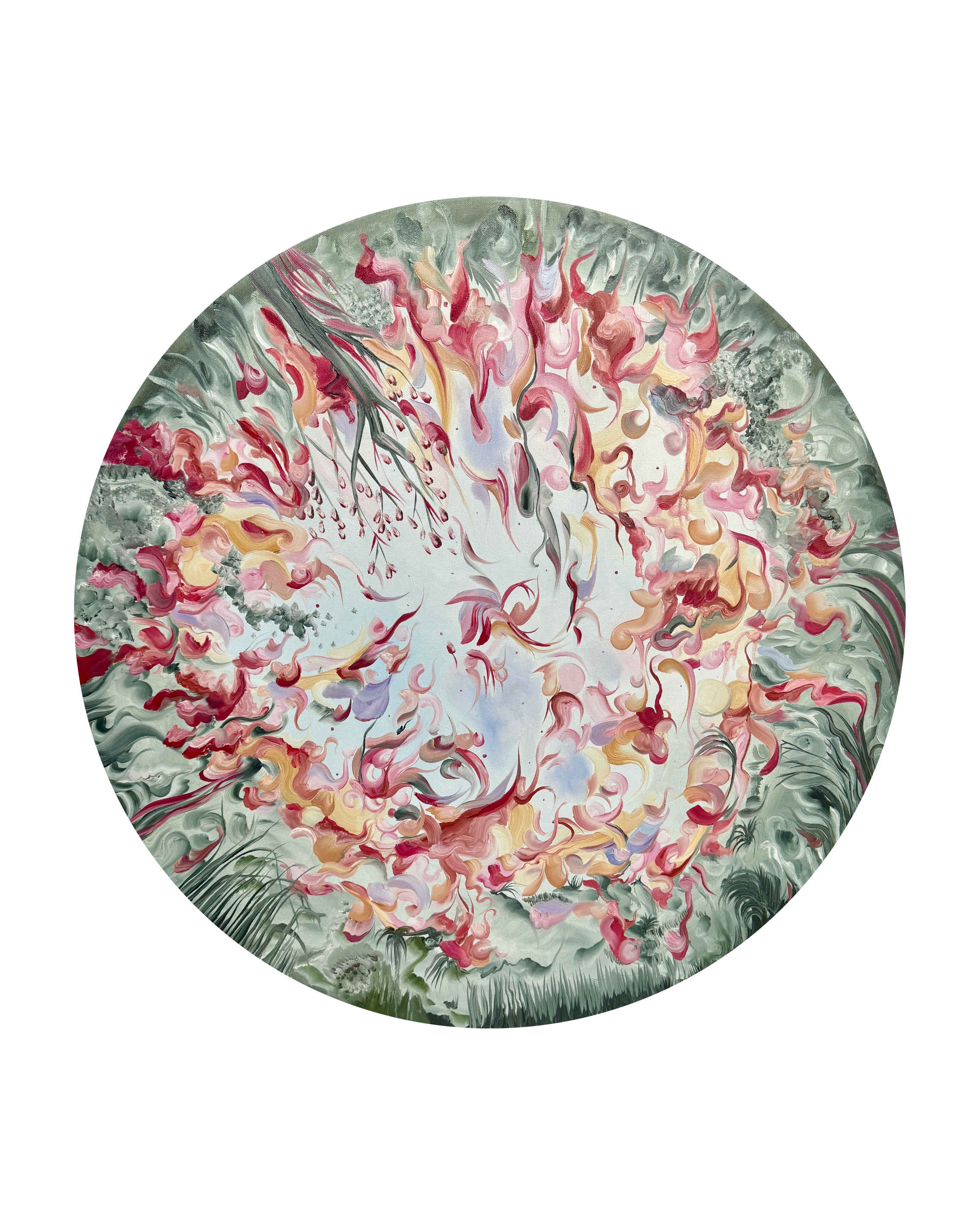 All Frills, Forest Viewing Party