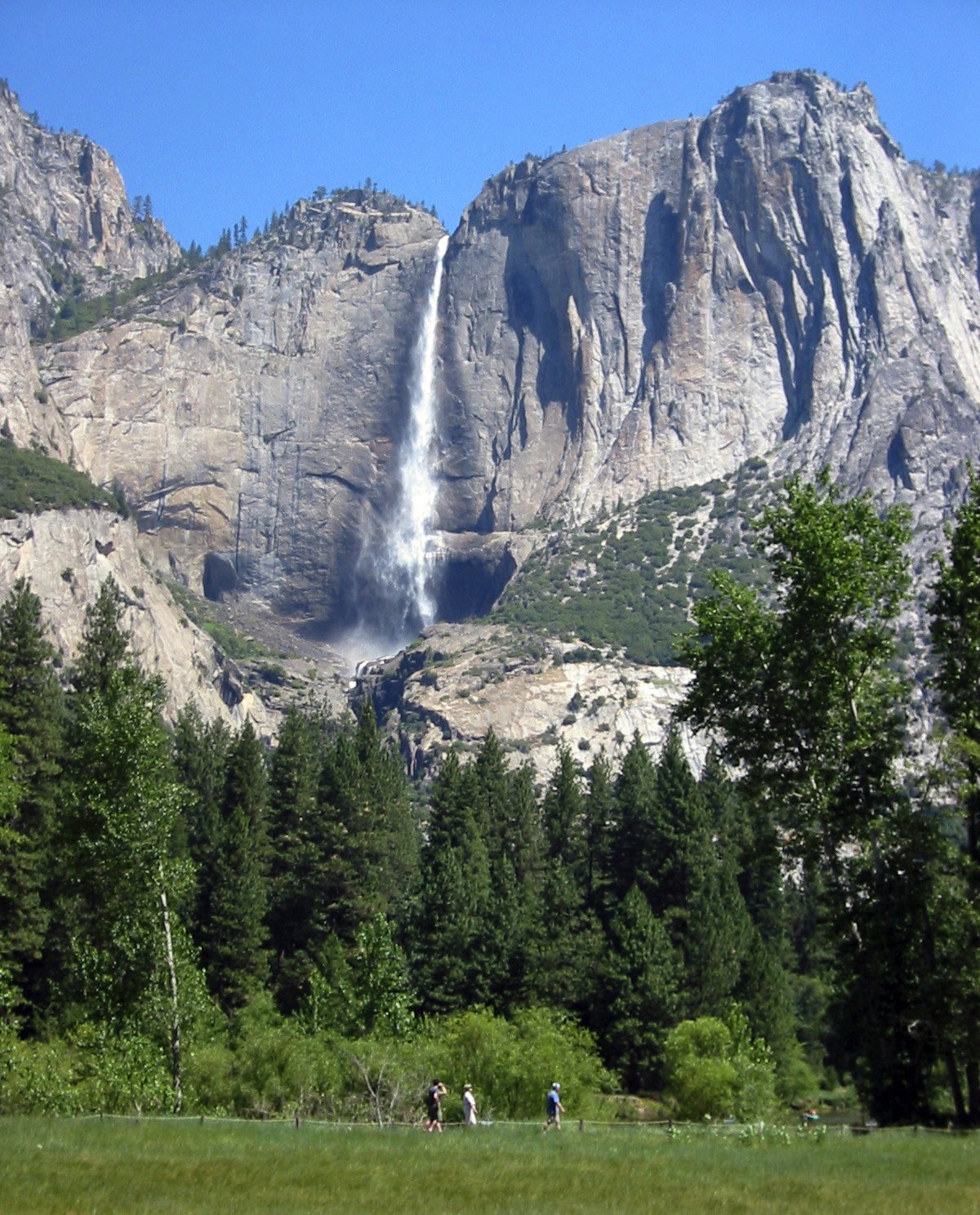 ysc.fall.104.jpg