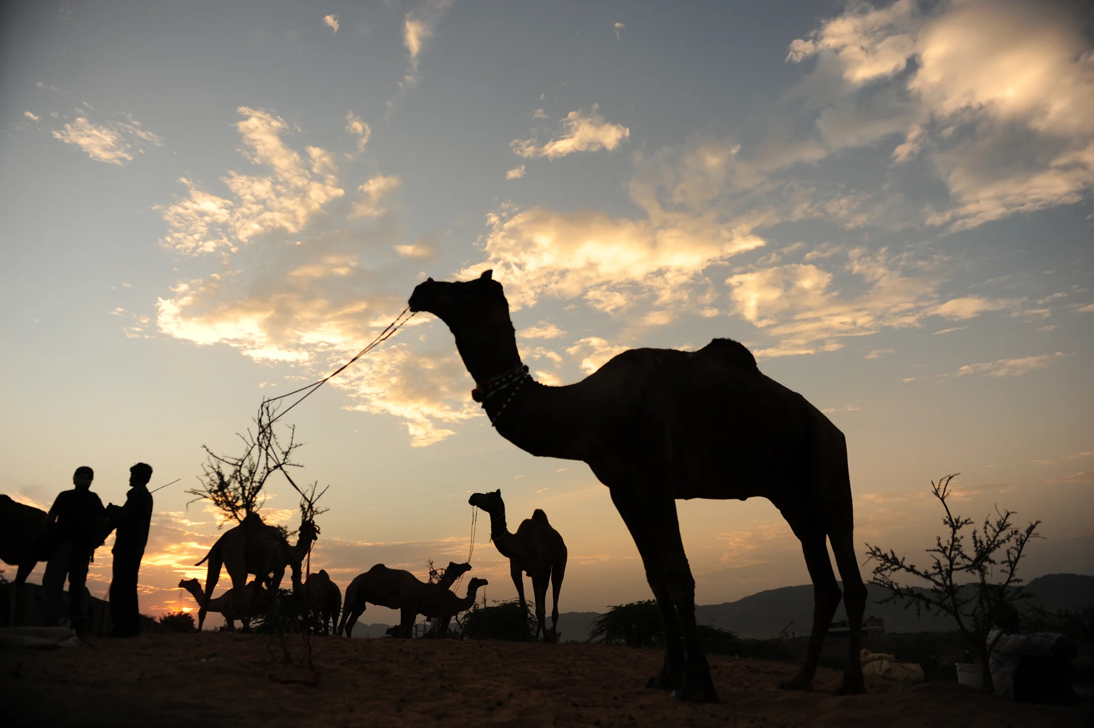 Welcome to PhotoQuest Adventures