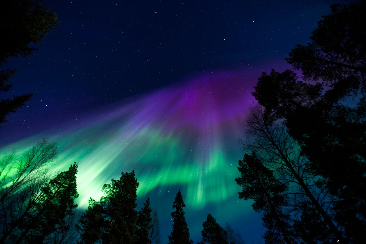 NORTHERN LIGHTS