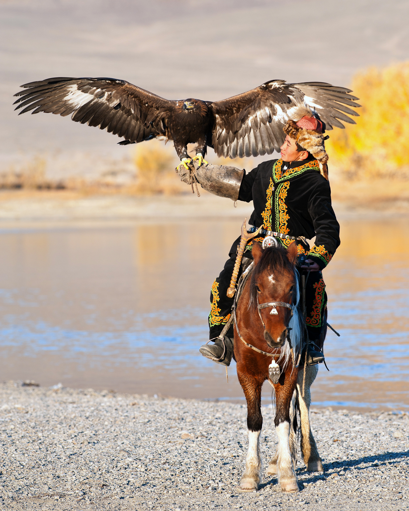 Mongoliaeagles.jpg