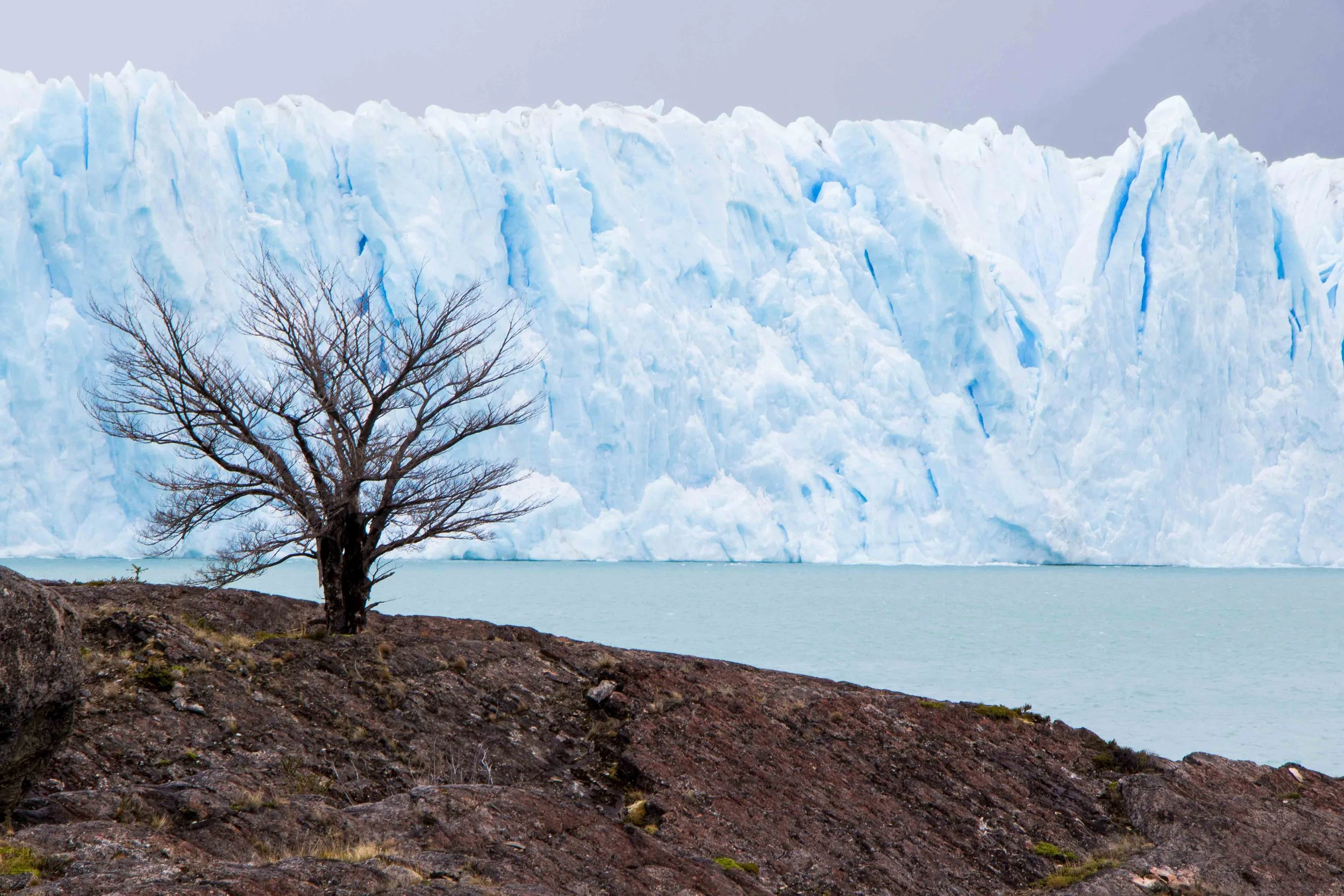 Gosia Pisowicz02.JPG