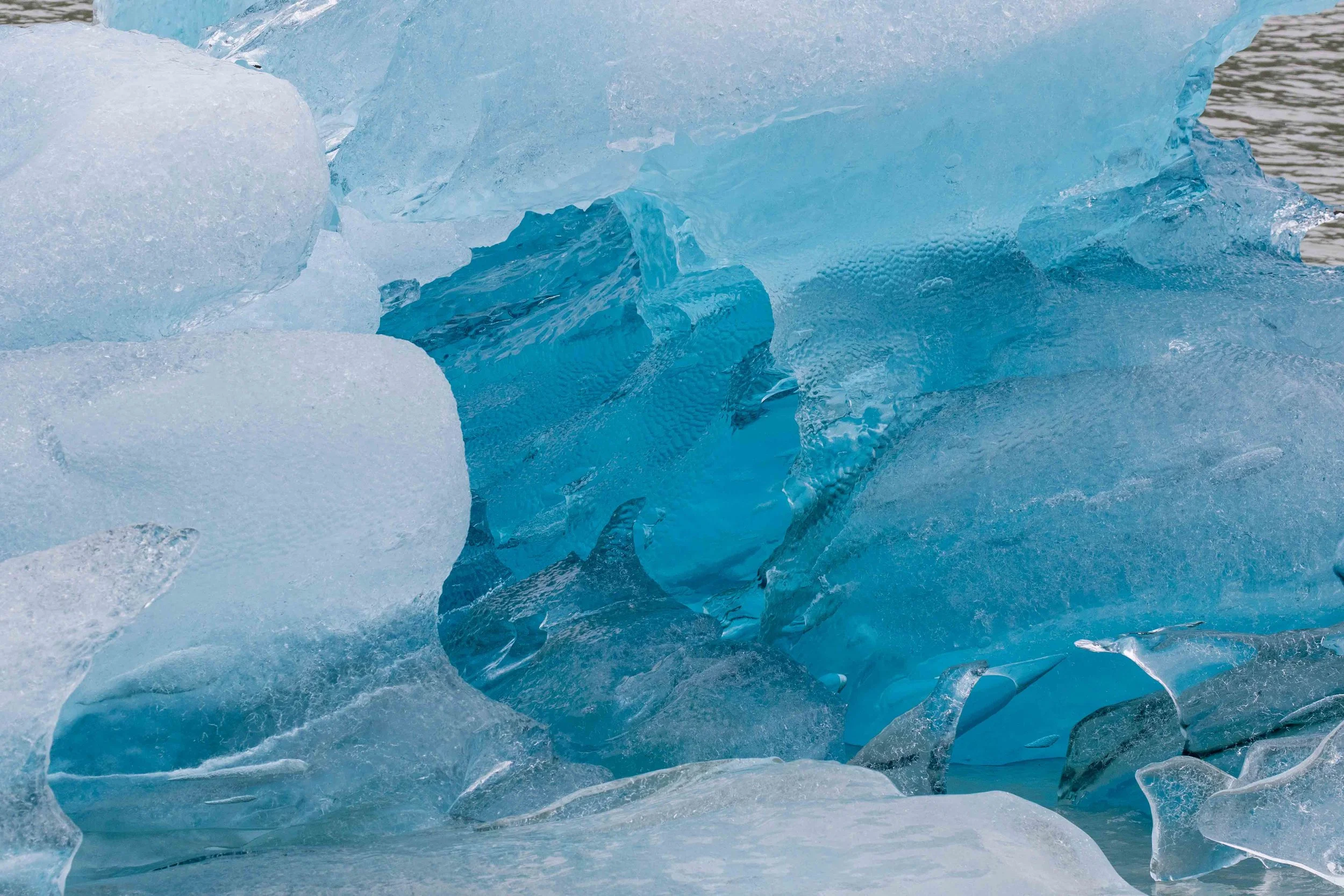 Gosia Pisowicz05.JPG