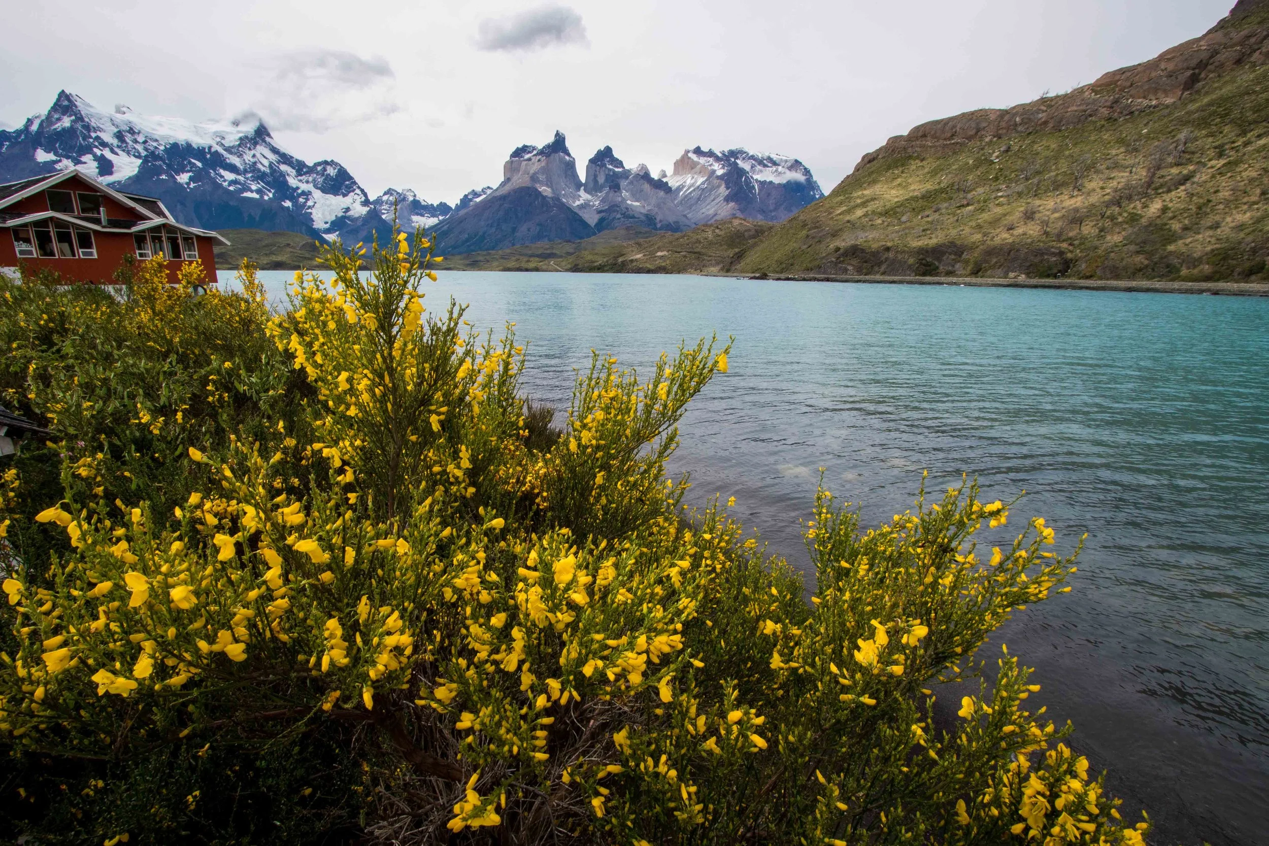 Gosia Pisowicz08.JPG