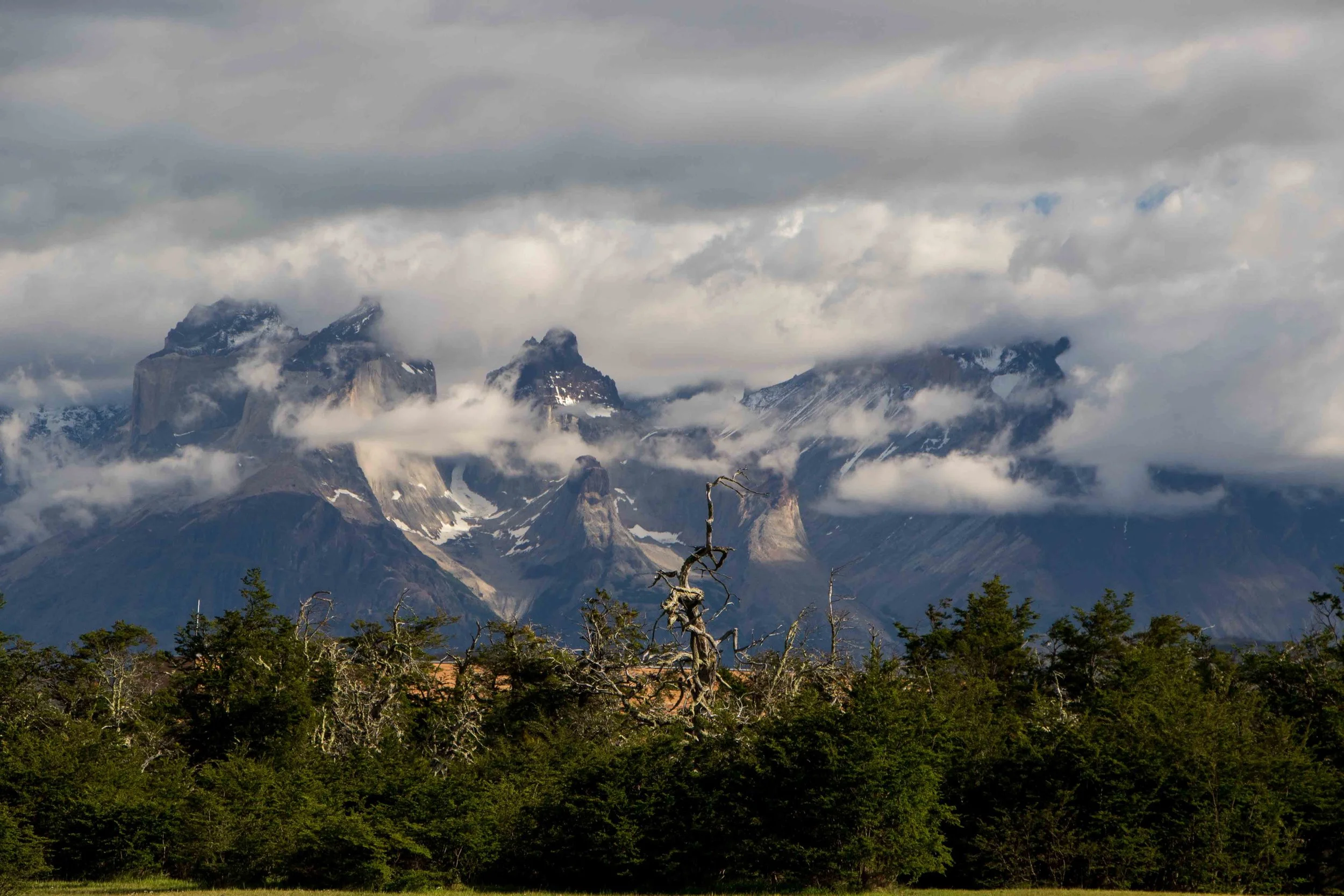 Gosia Pisowicz09.JPG