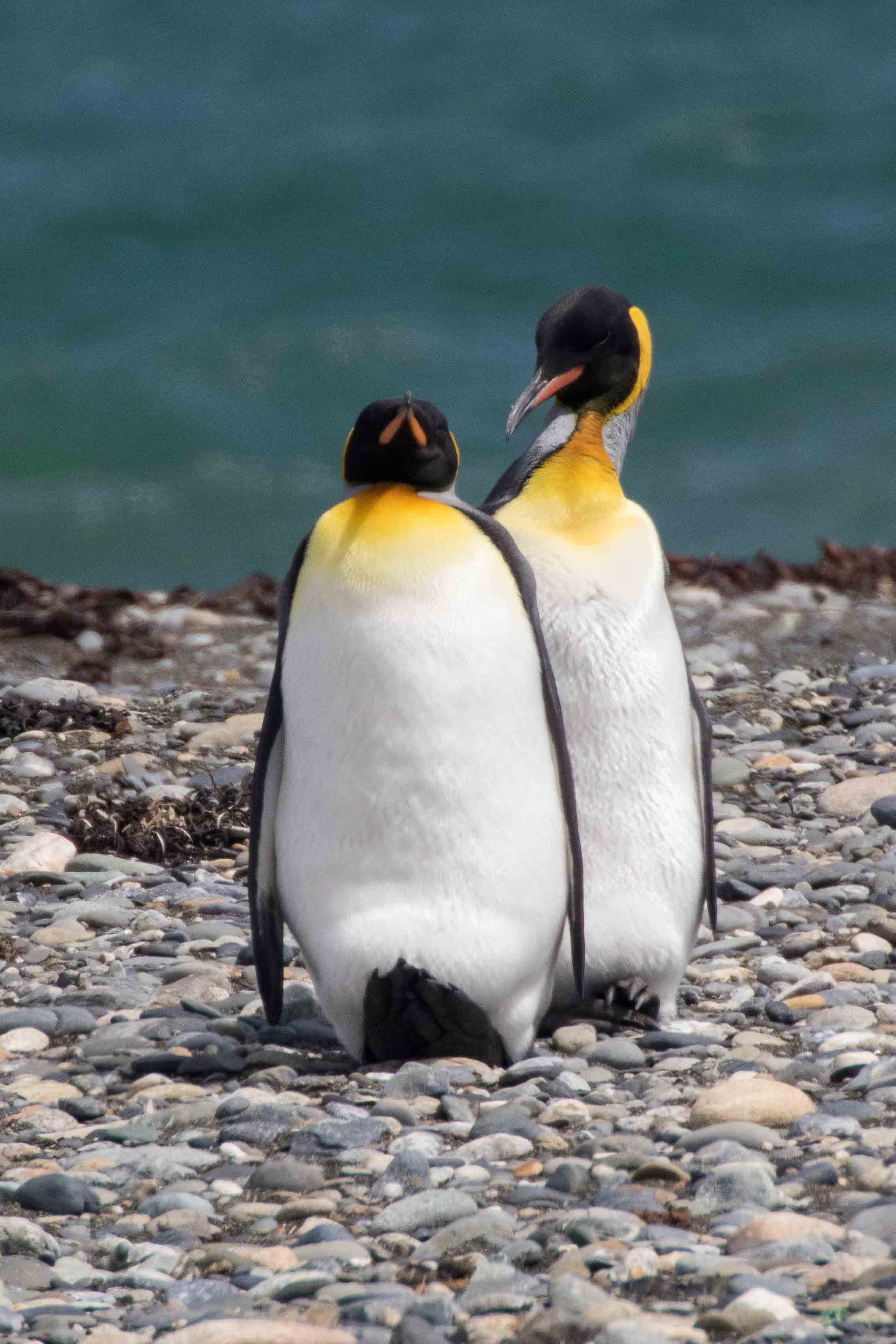 Gosia Pisowicz10.JPG