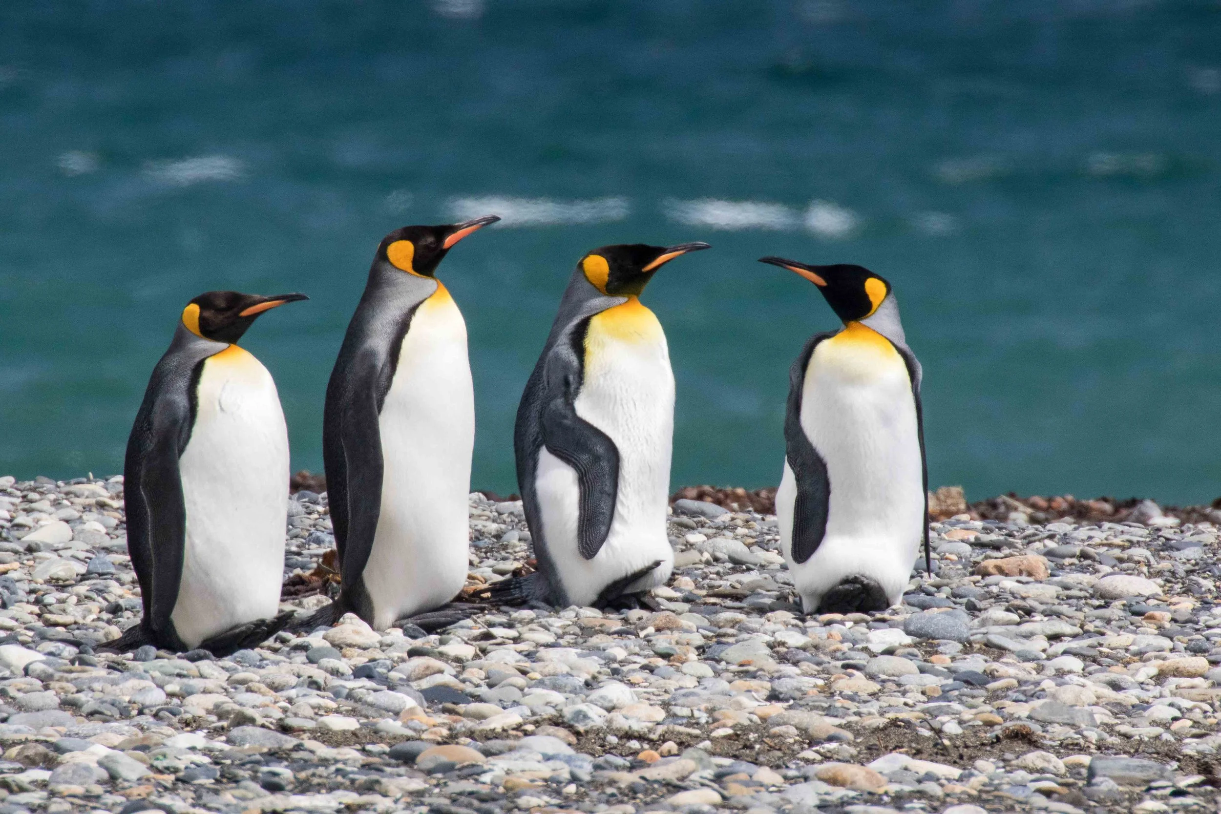 Gosia Pisowicz11.JPG