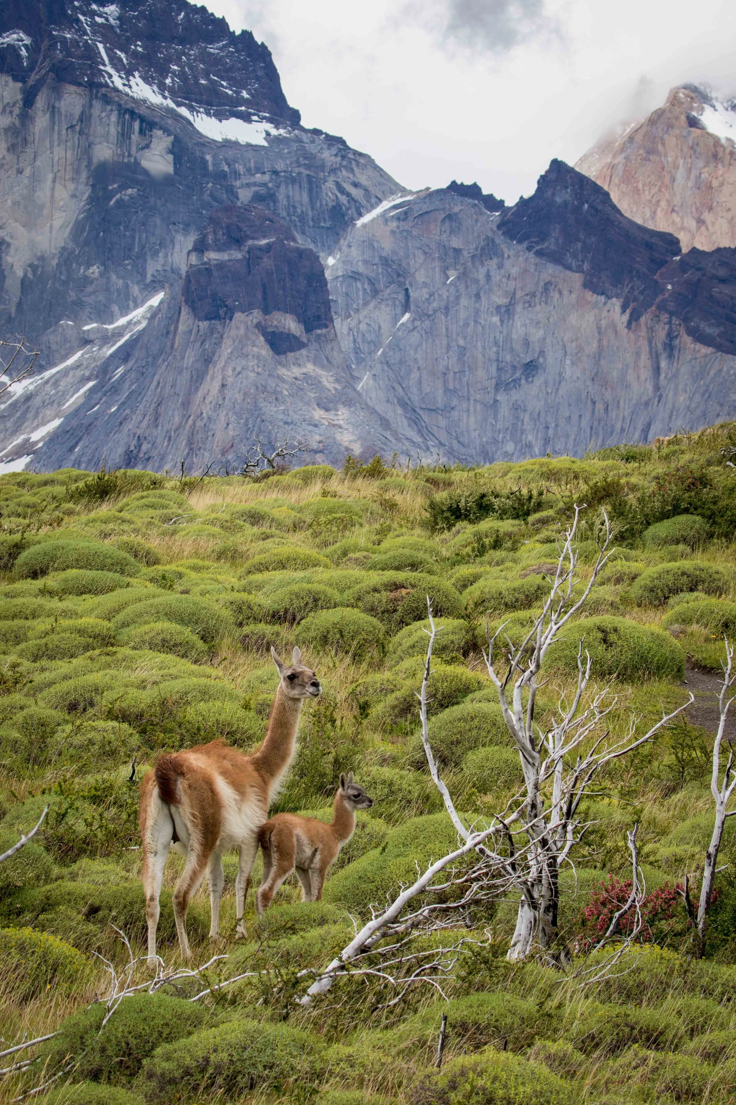 Gosia Pisowicz12.JPG