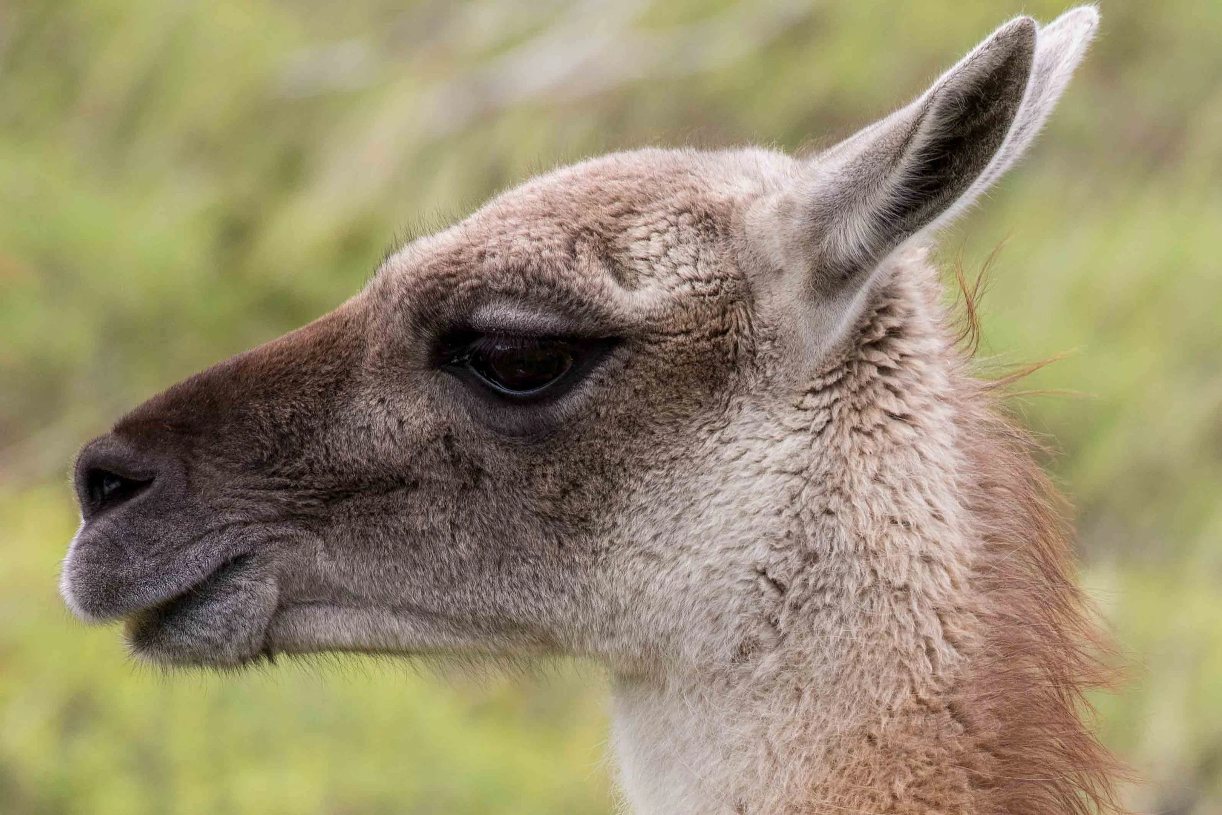 Gosia Pisowicz13.JPG