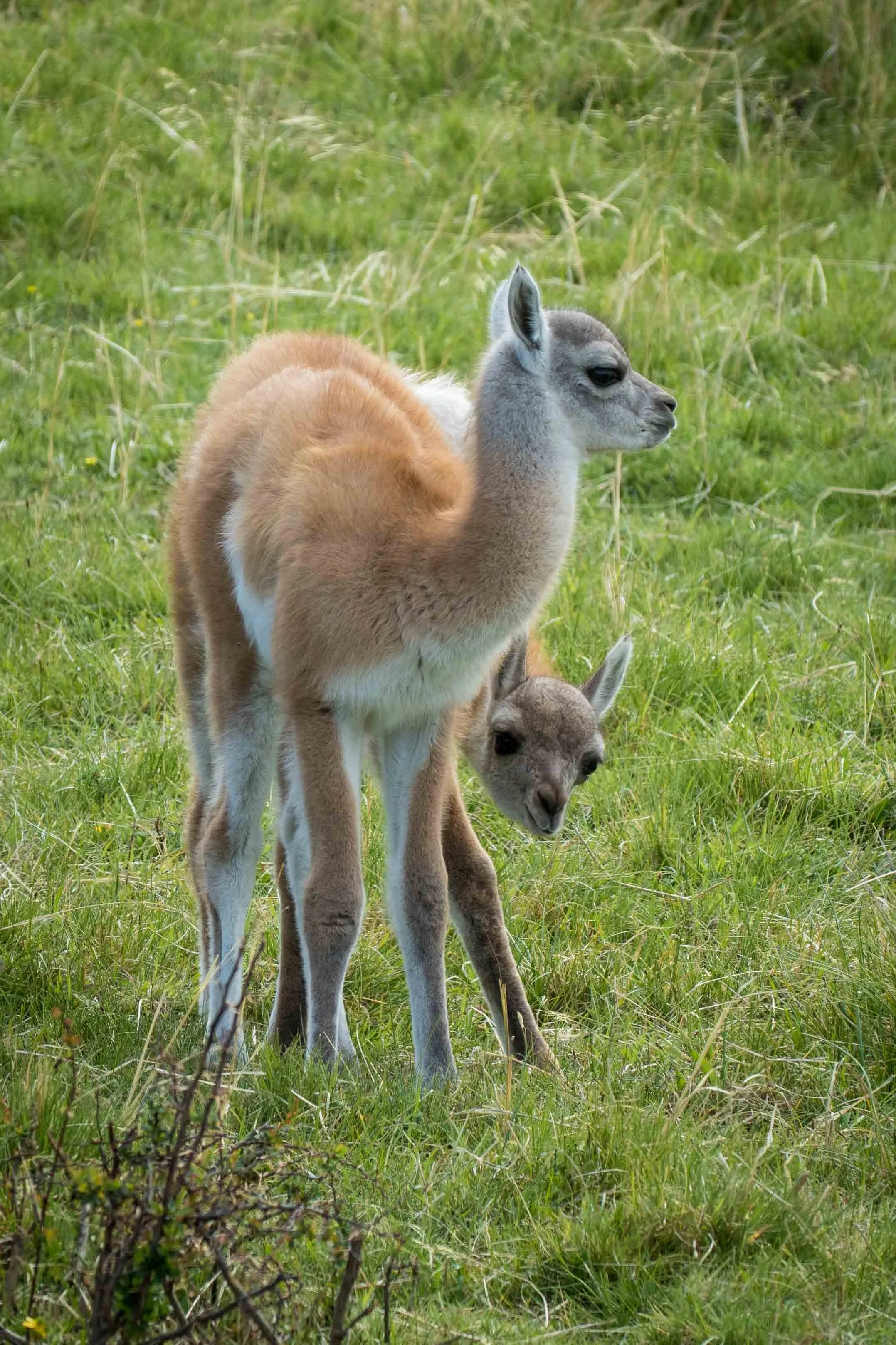 Gosia Pisowicz18.JPG