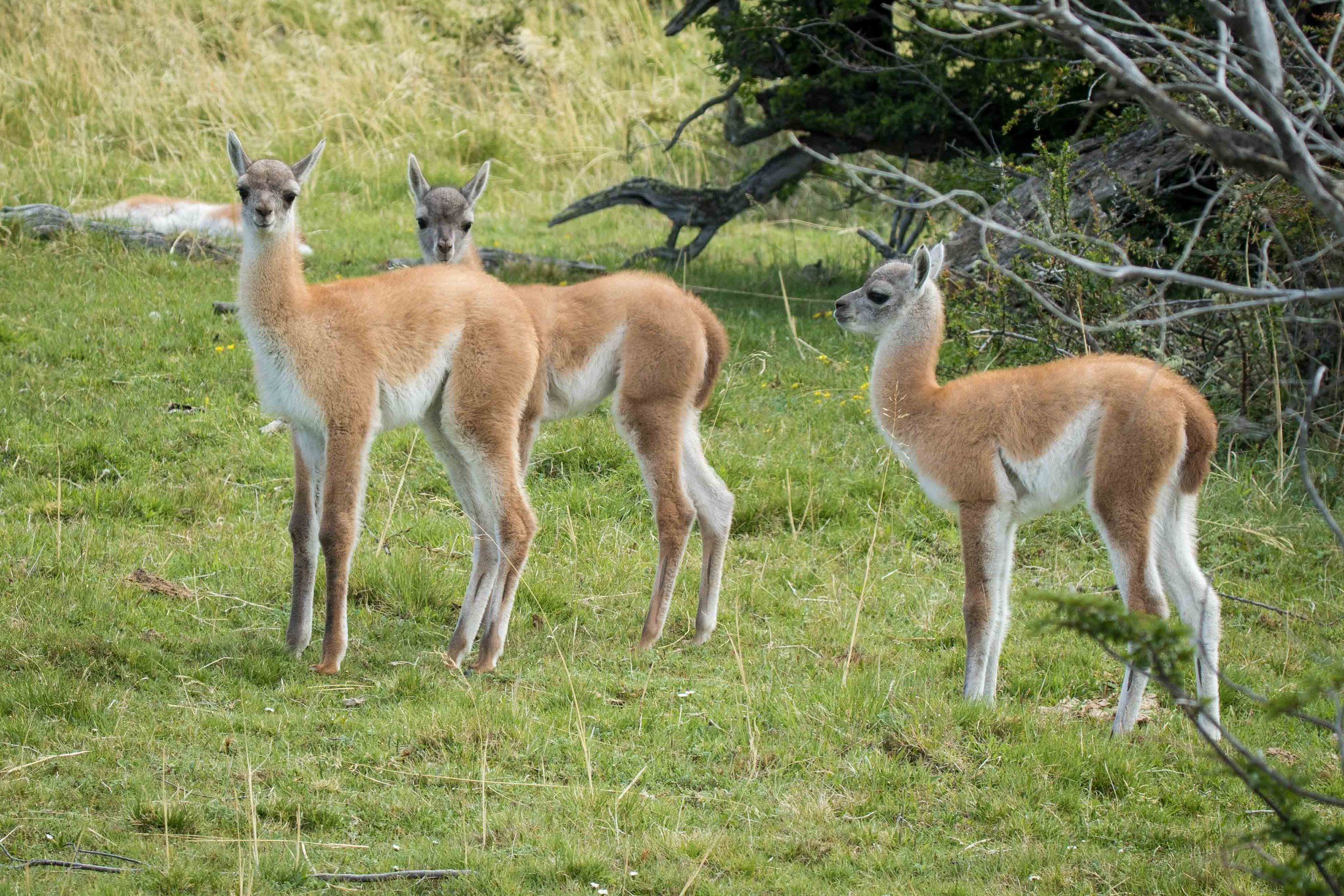 Gosia Pisowicz19.JPG